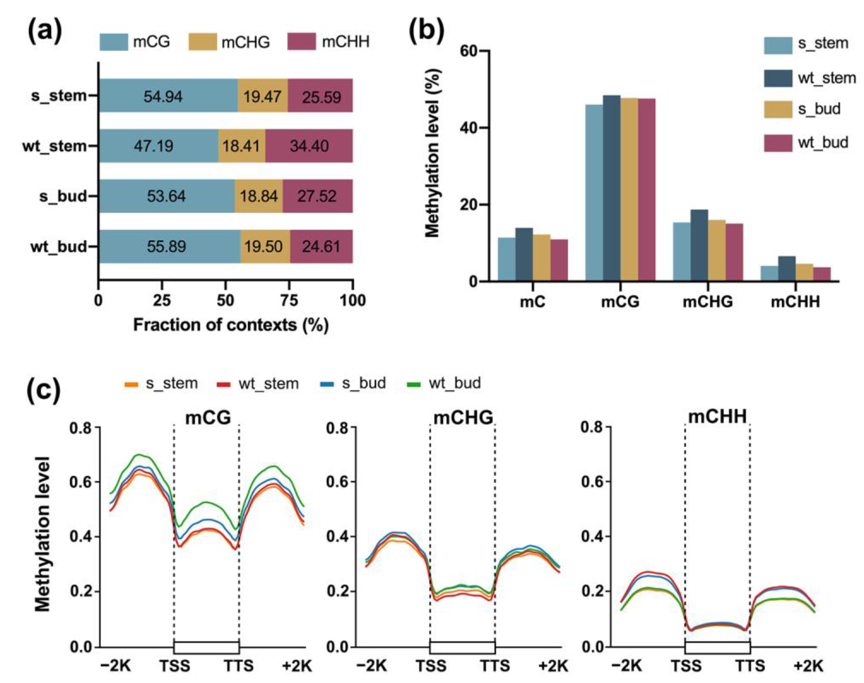Plants 12 01384 g002 Plants 12 01384 g002