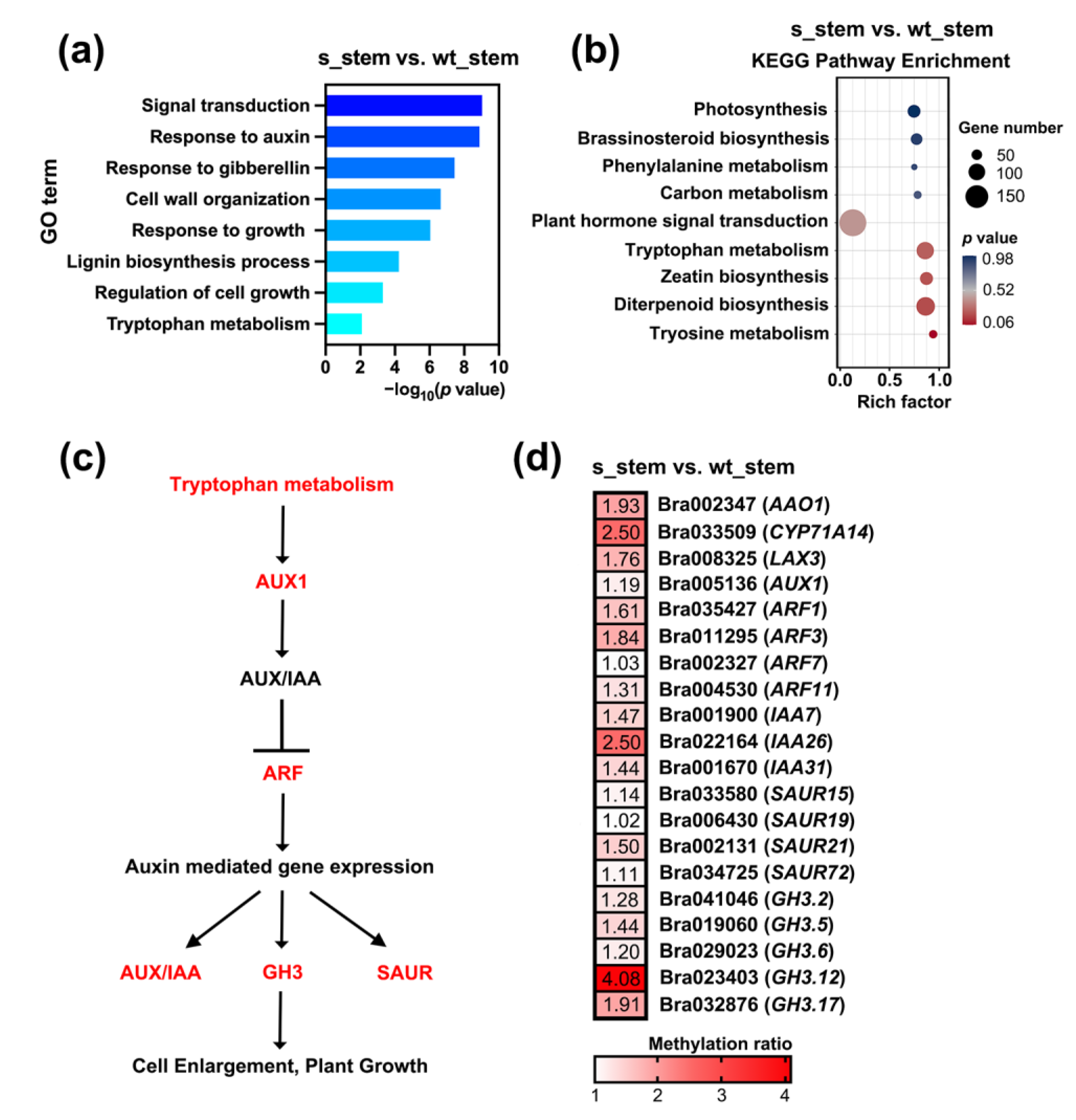 Plants 12 01384 g004 Plants 12 01384 g004