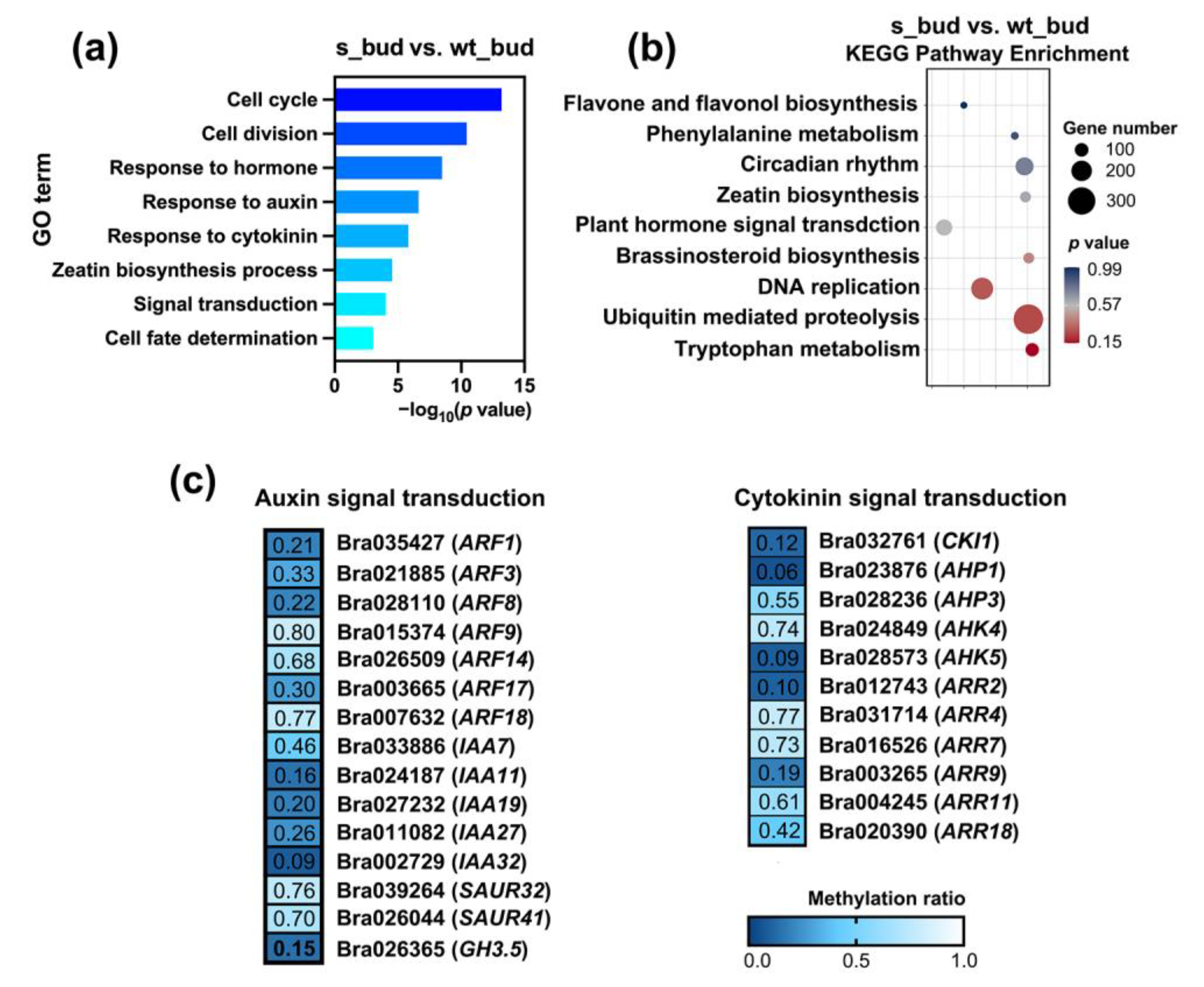 Plants 12 01384 g005 Plants 12 01384 g005