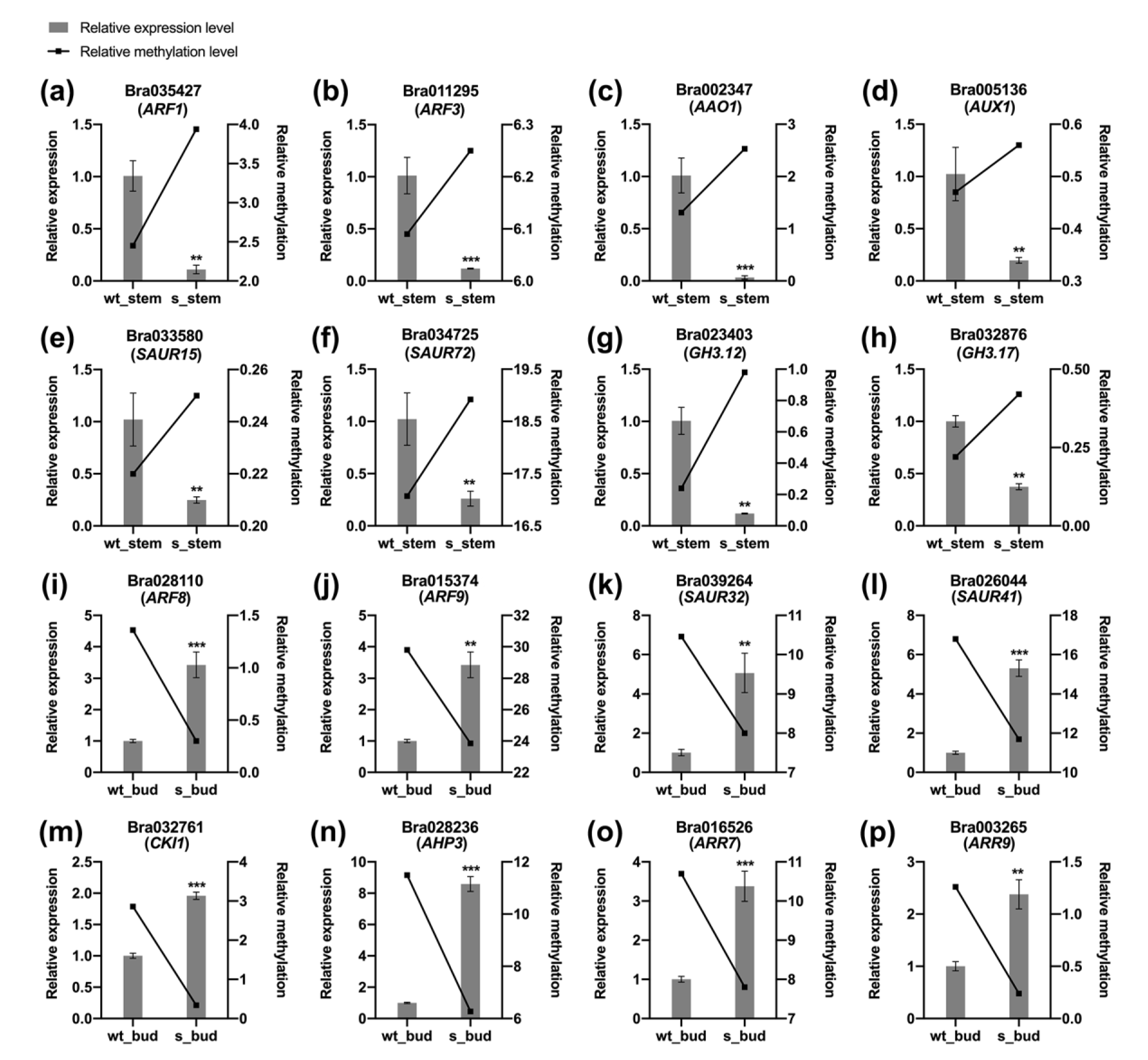 Plants 12 01384 g006 Plants 12 01384 g006