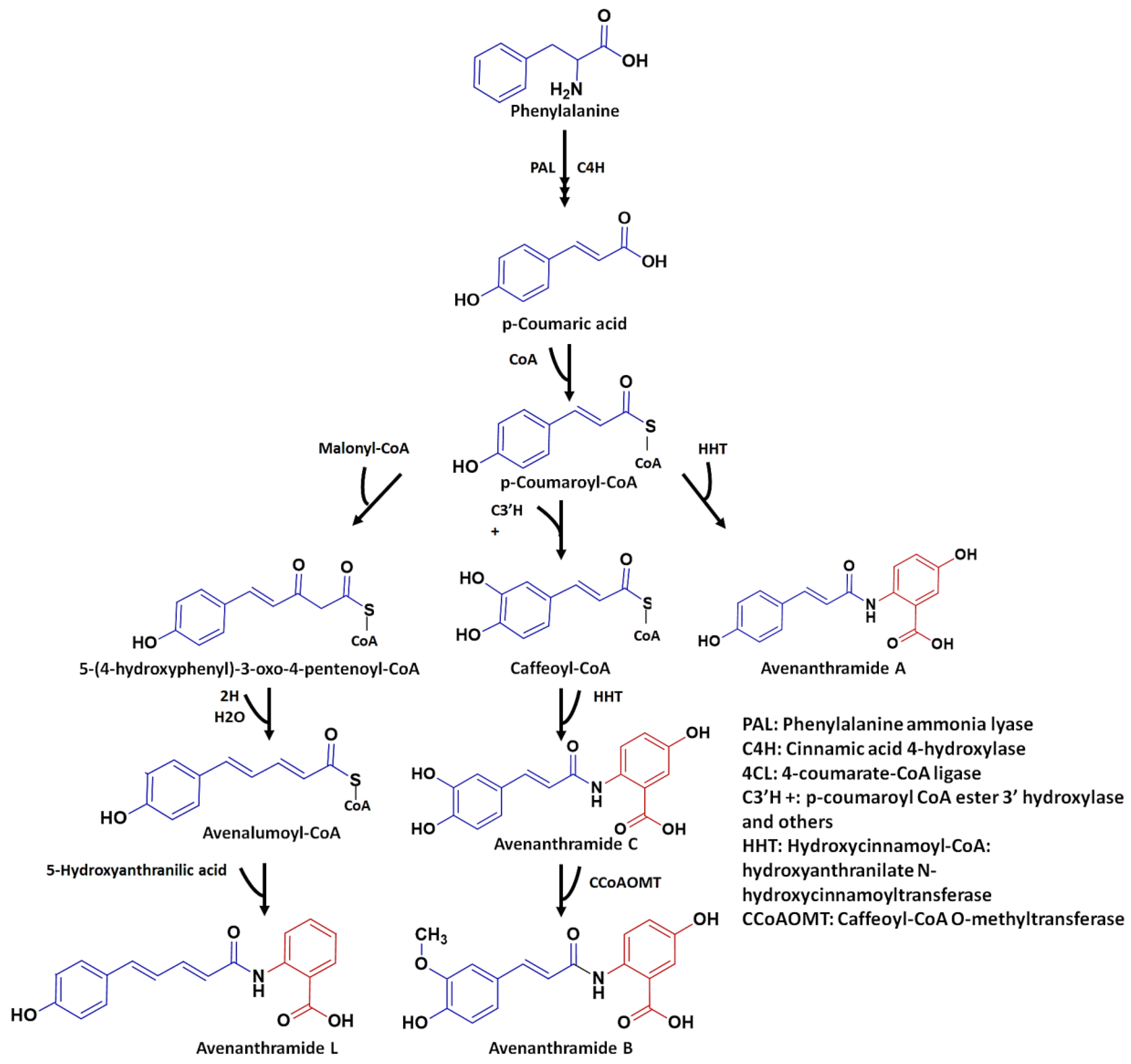 Plants 12 01388 g001 Plants 12 01388 g001