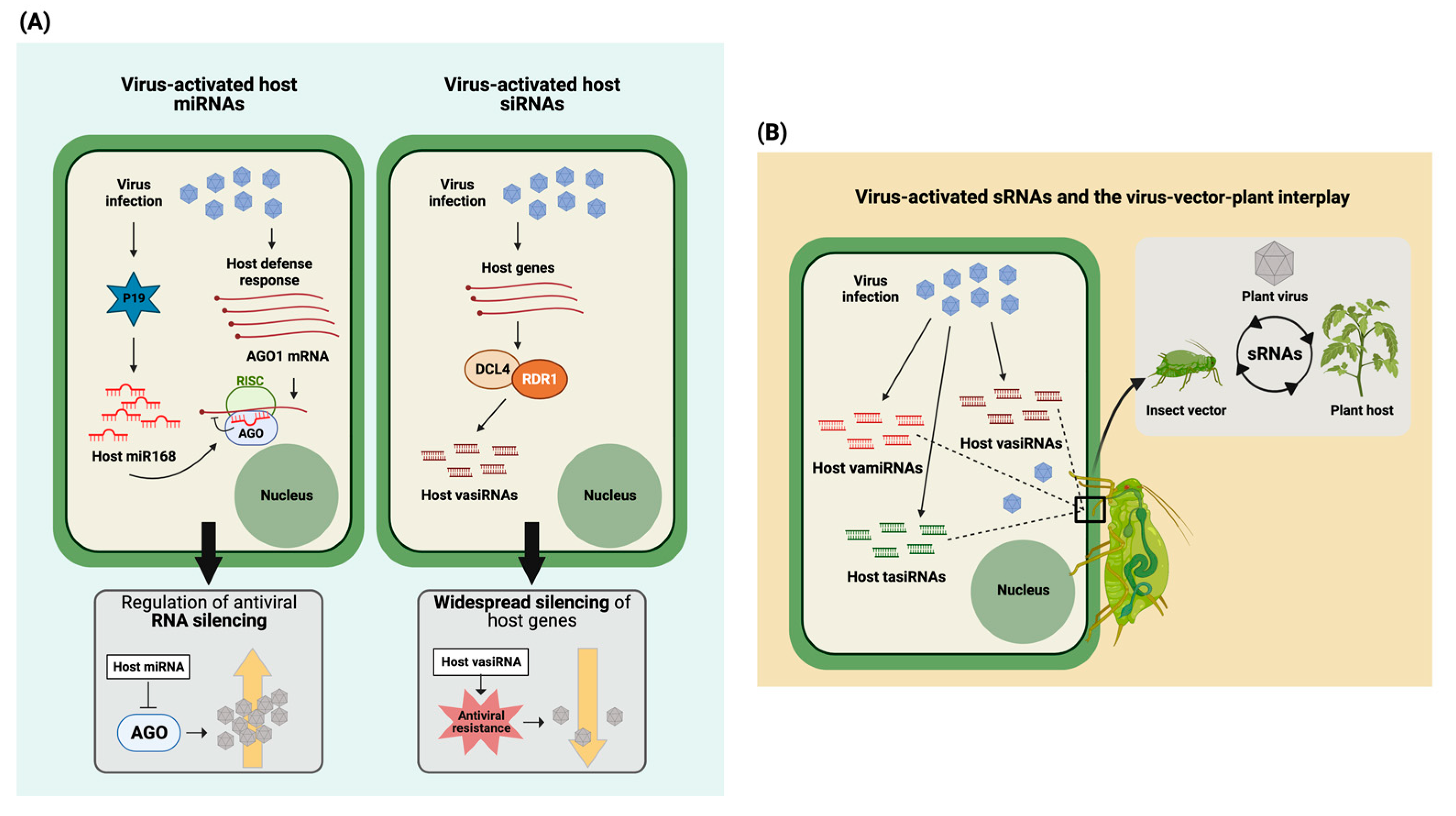 Plants 12 01411 g002 Plants 12 01411 g002