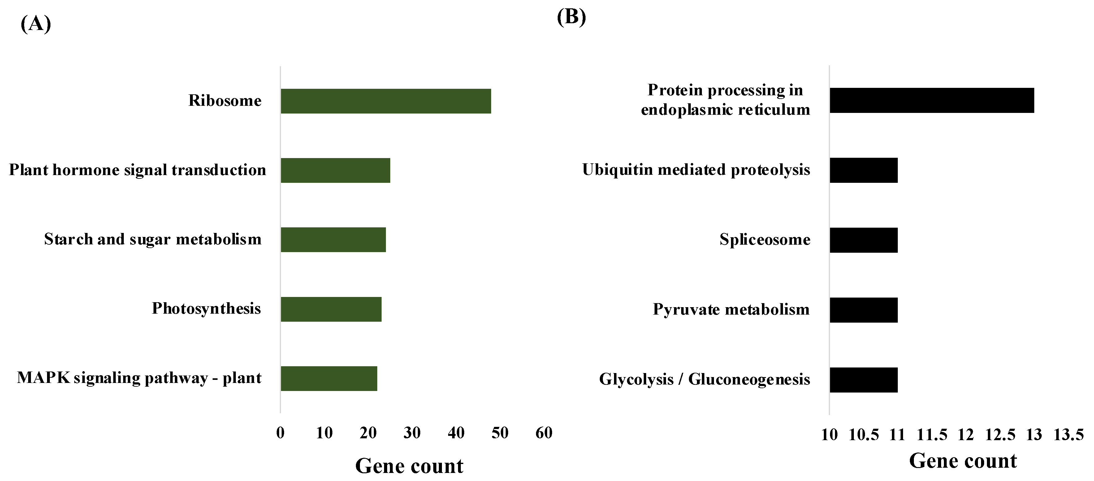 Plants 12 01412 g003 Plants 12 01412 g003