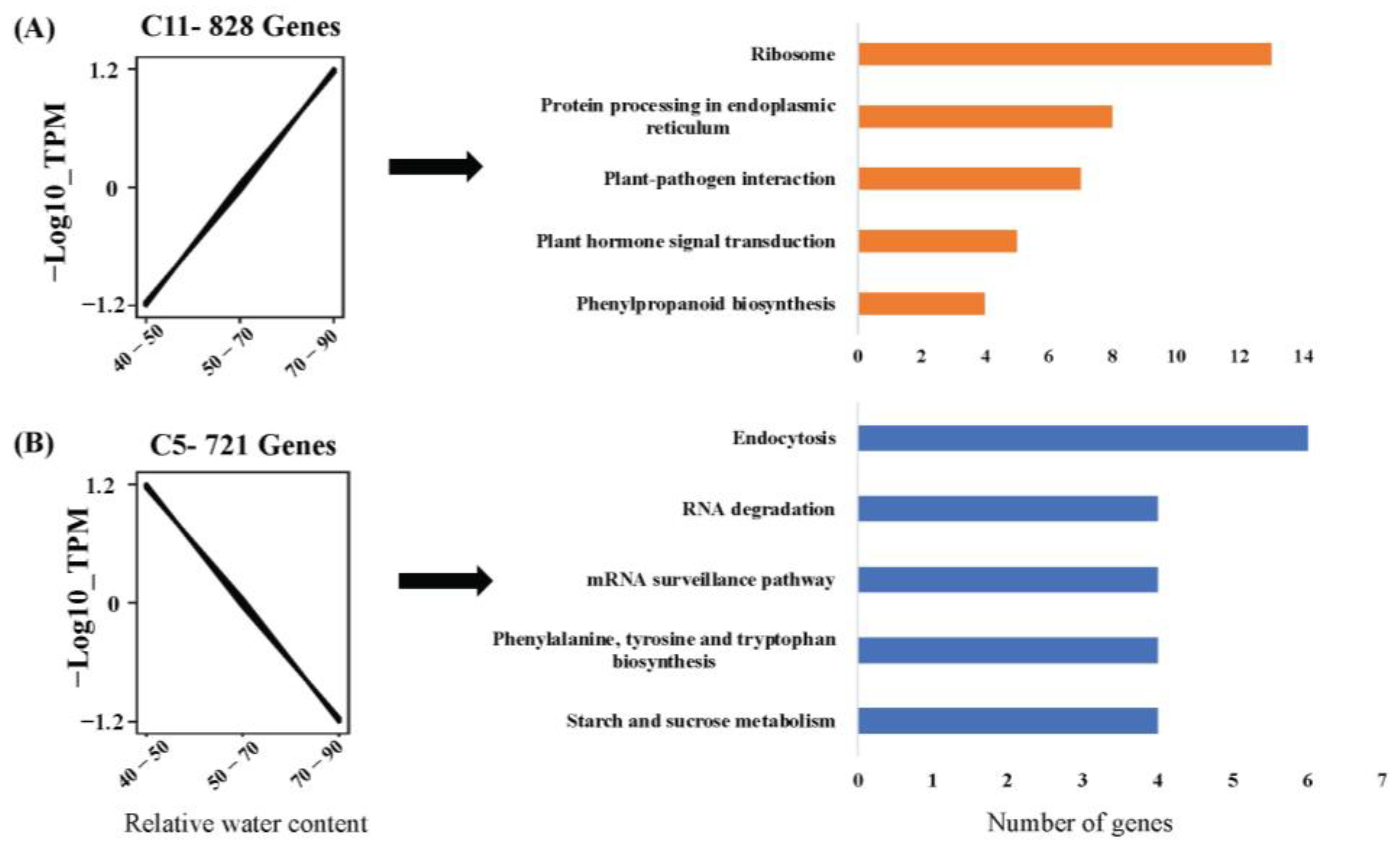 Plants 12 01412 g004 Plants 12 01412 g004