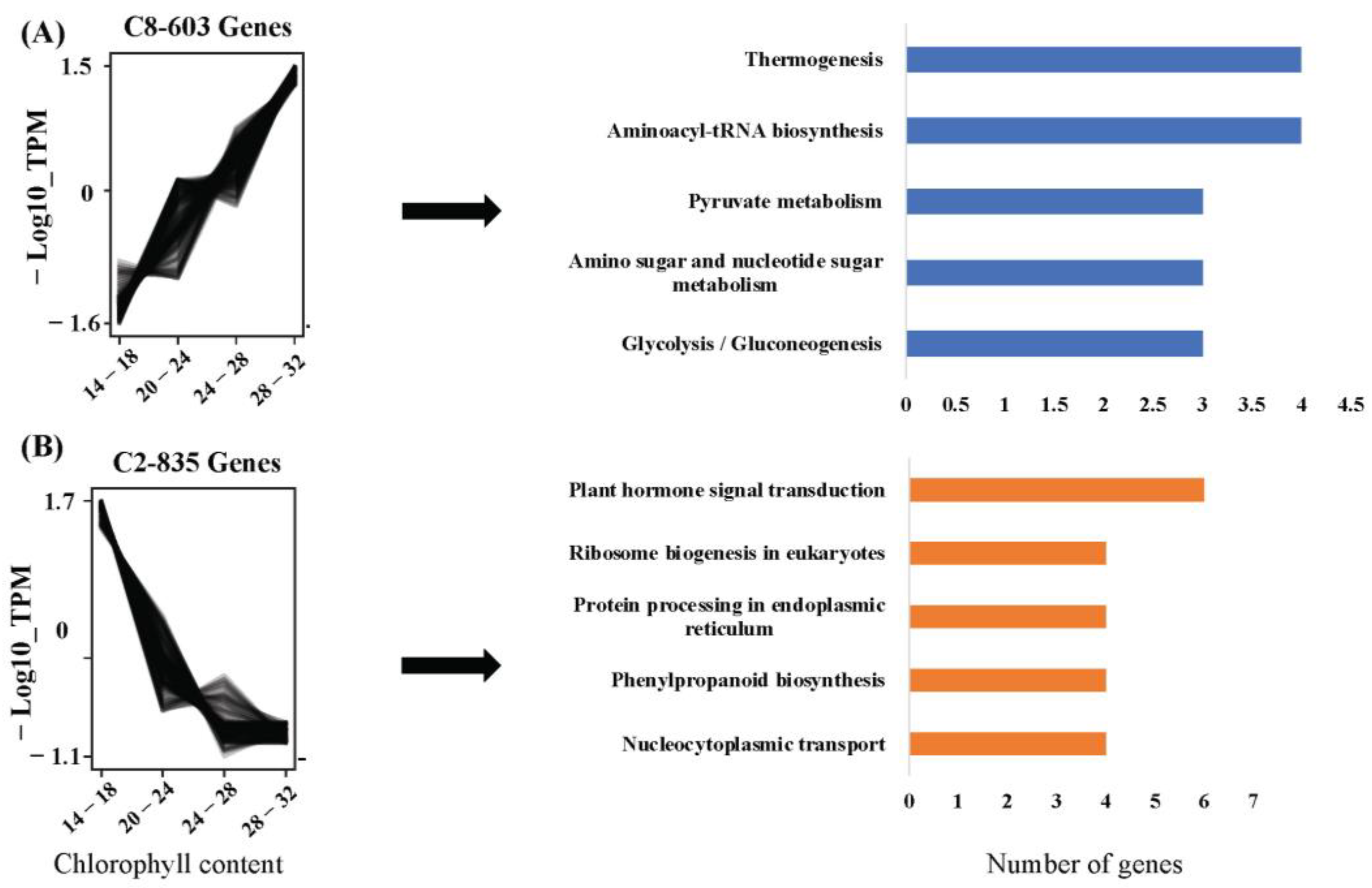 Plants 12 01412 g005 Plants 12 01412 g005