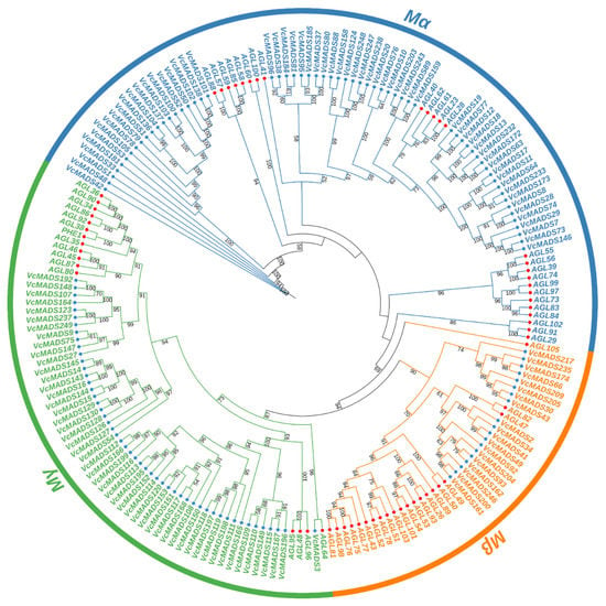 Plants Free Full Text Genome Wide Identification and Analysis