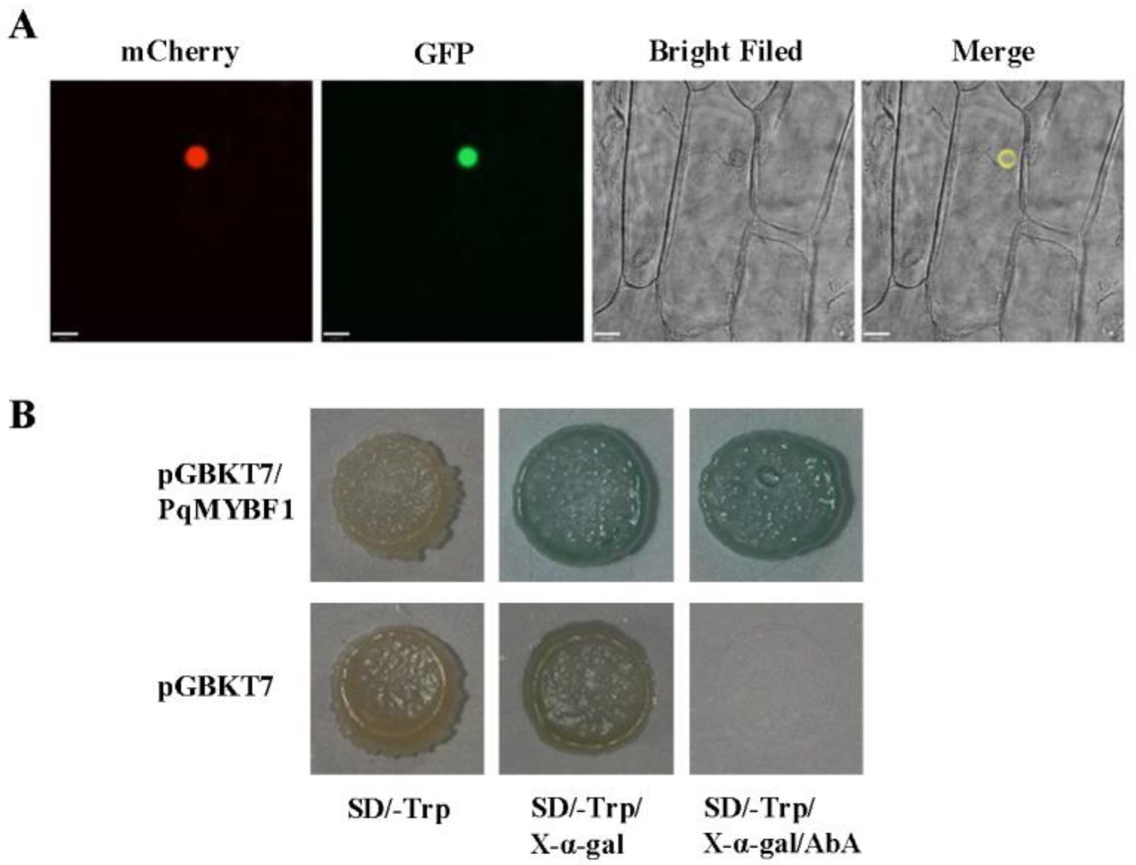 Plants 12 01427 g002