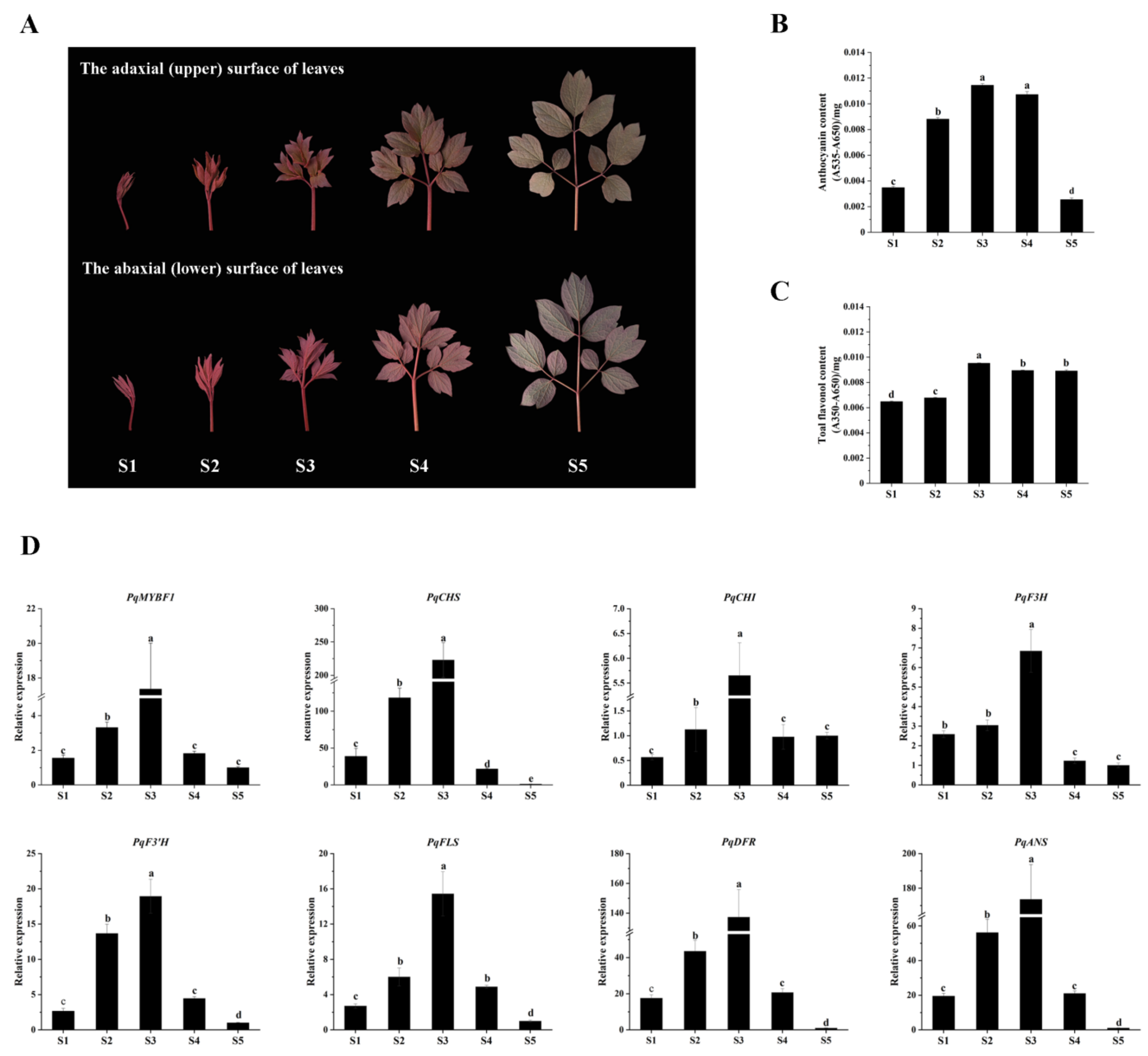 Plants 12 01427 g003