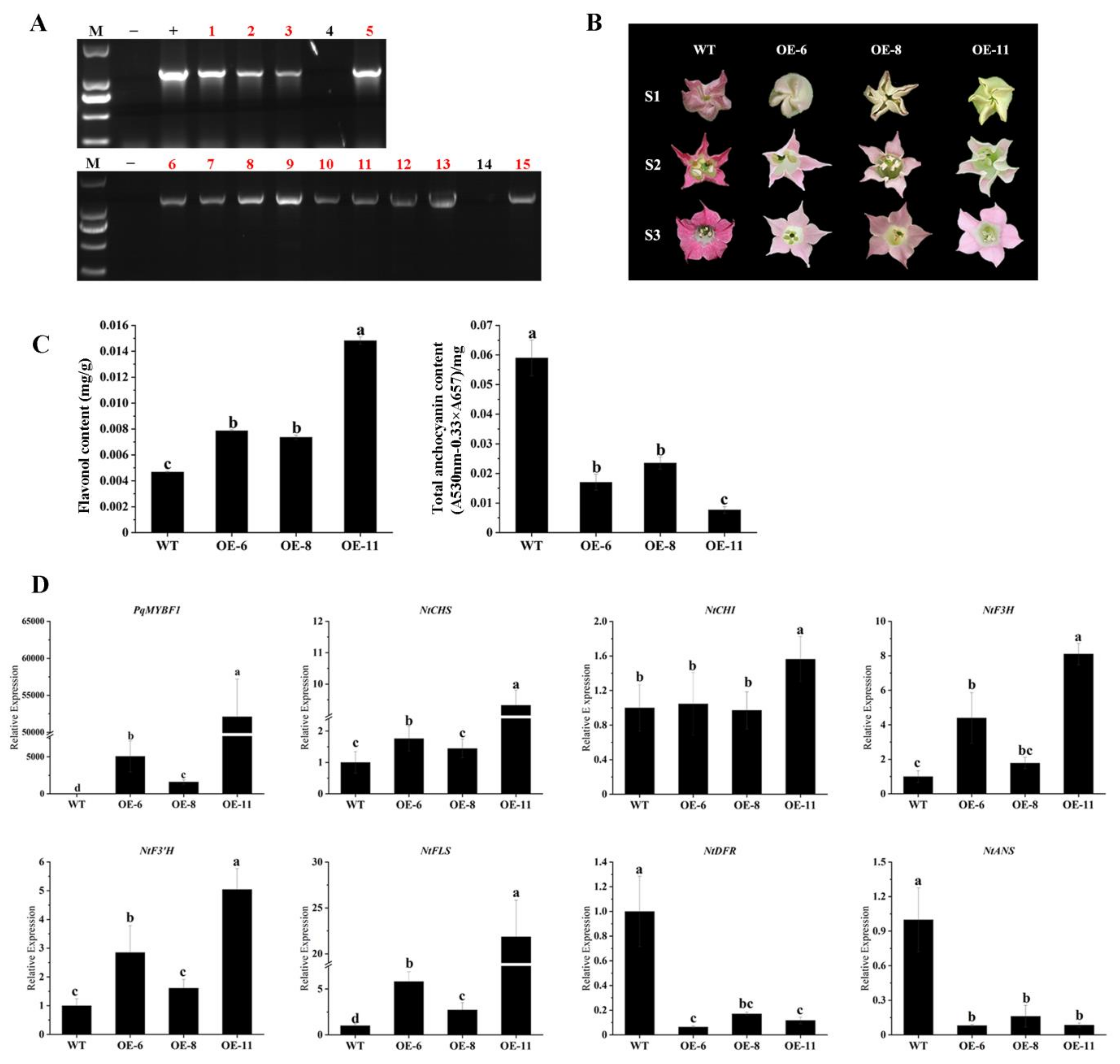 Plants 12 01427 g004