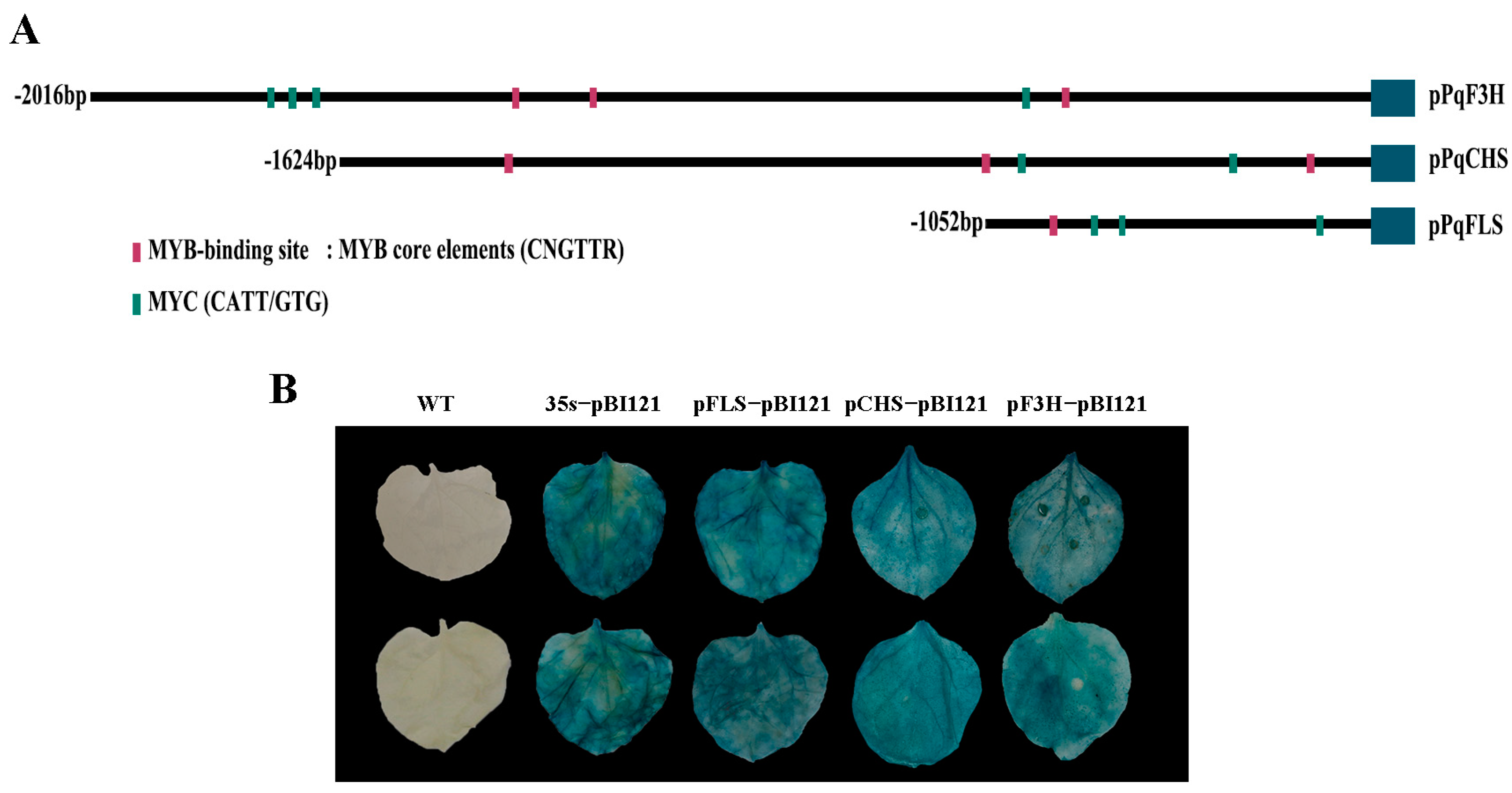 Plants 12 01427 g006