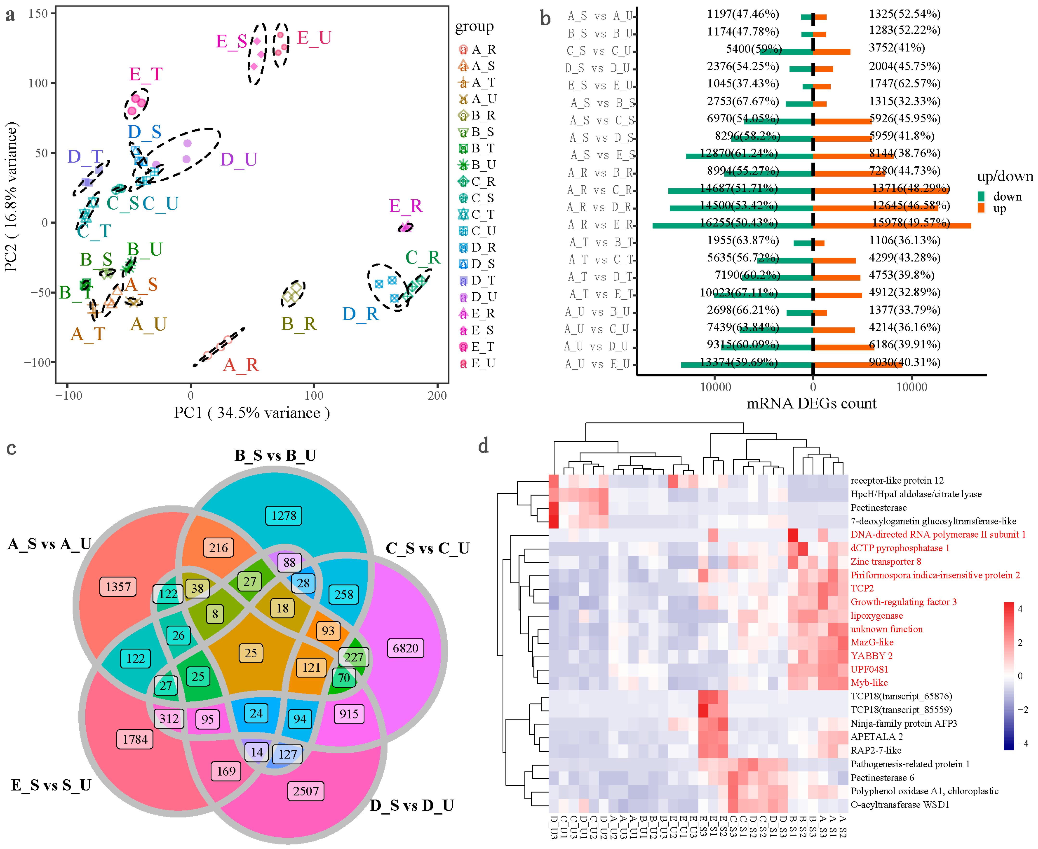 Plants 12 01456 g002 Plants 12 01456 g002