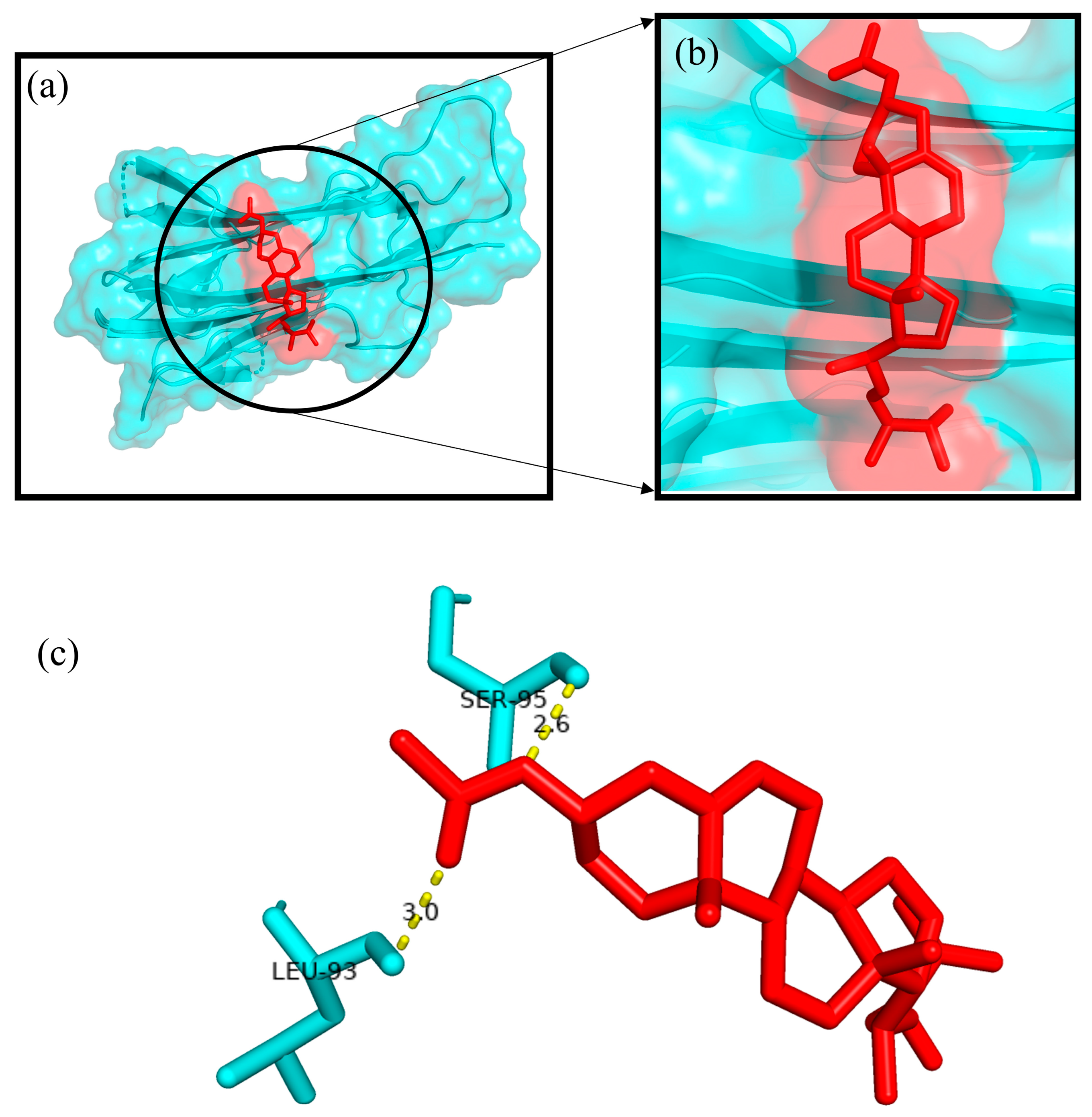 Plants 12 01495 g011 Plants 12 01495 g011