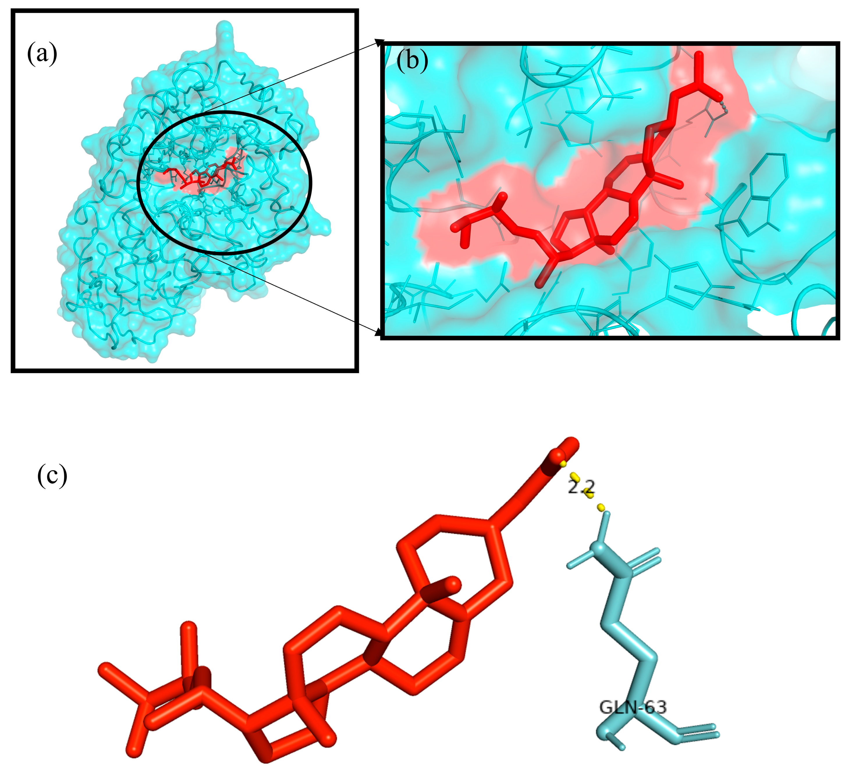 Plants 12 01495 g014 Plants 12 01495 g014