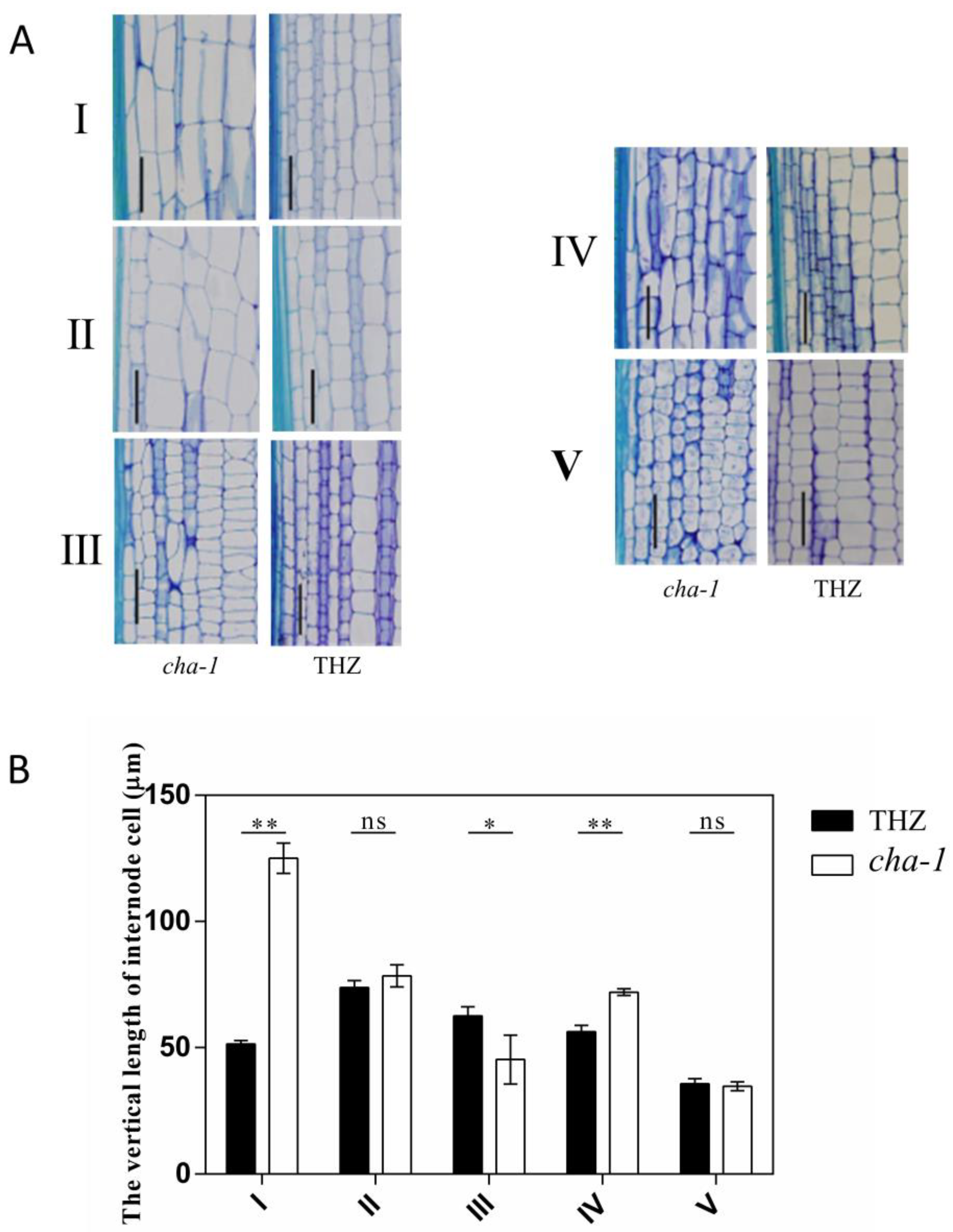 Plants 12 01507 g002
