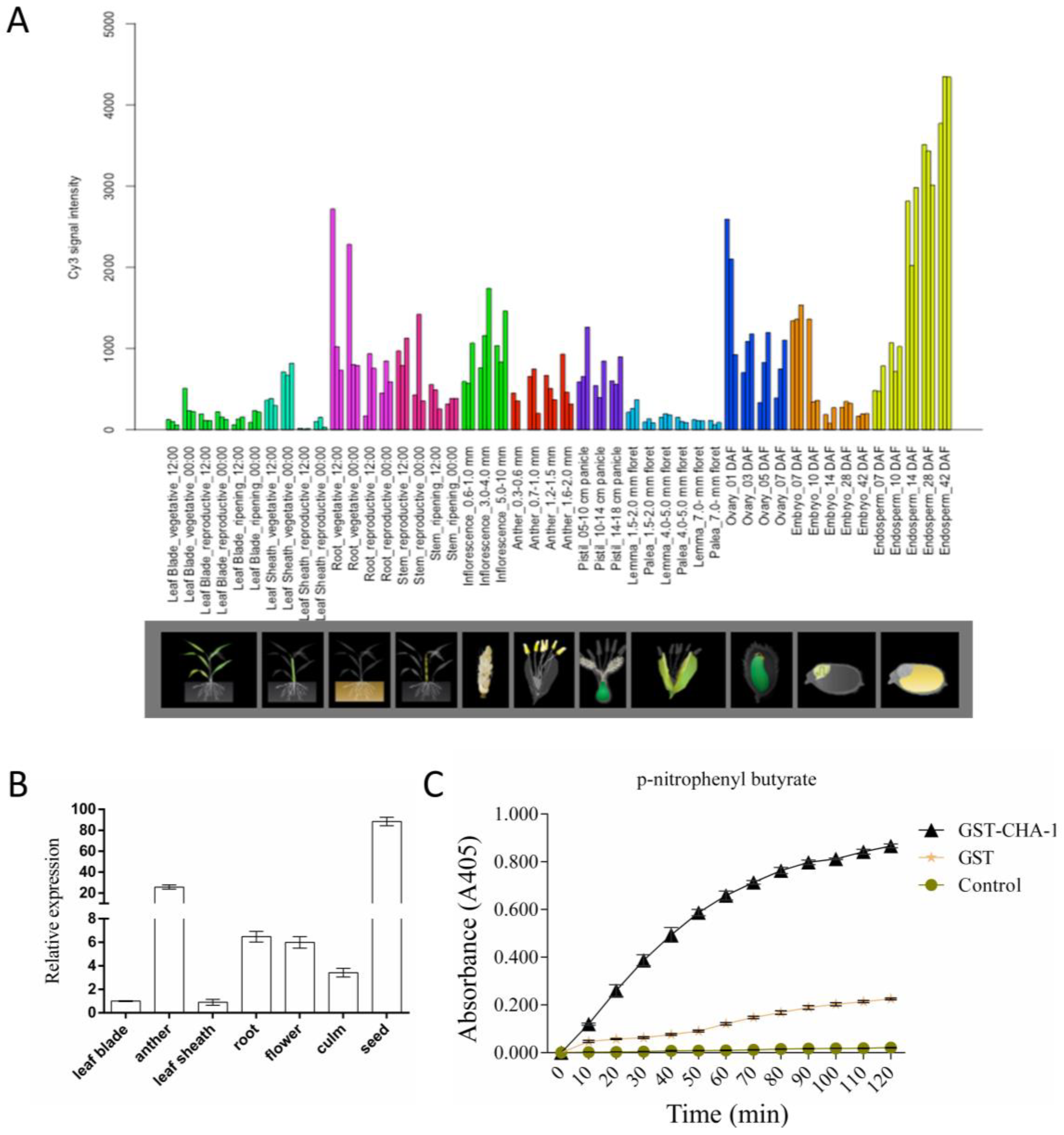 Plants 12 01507 g004