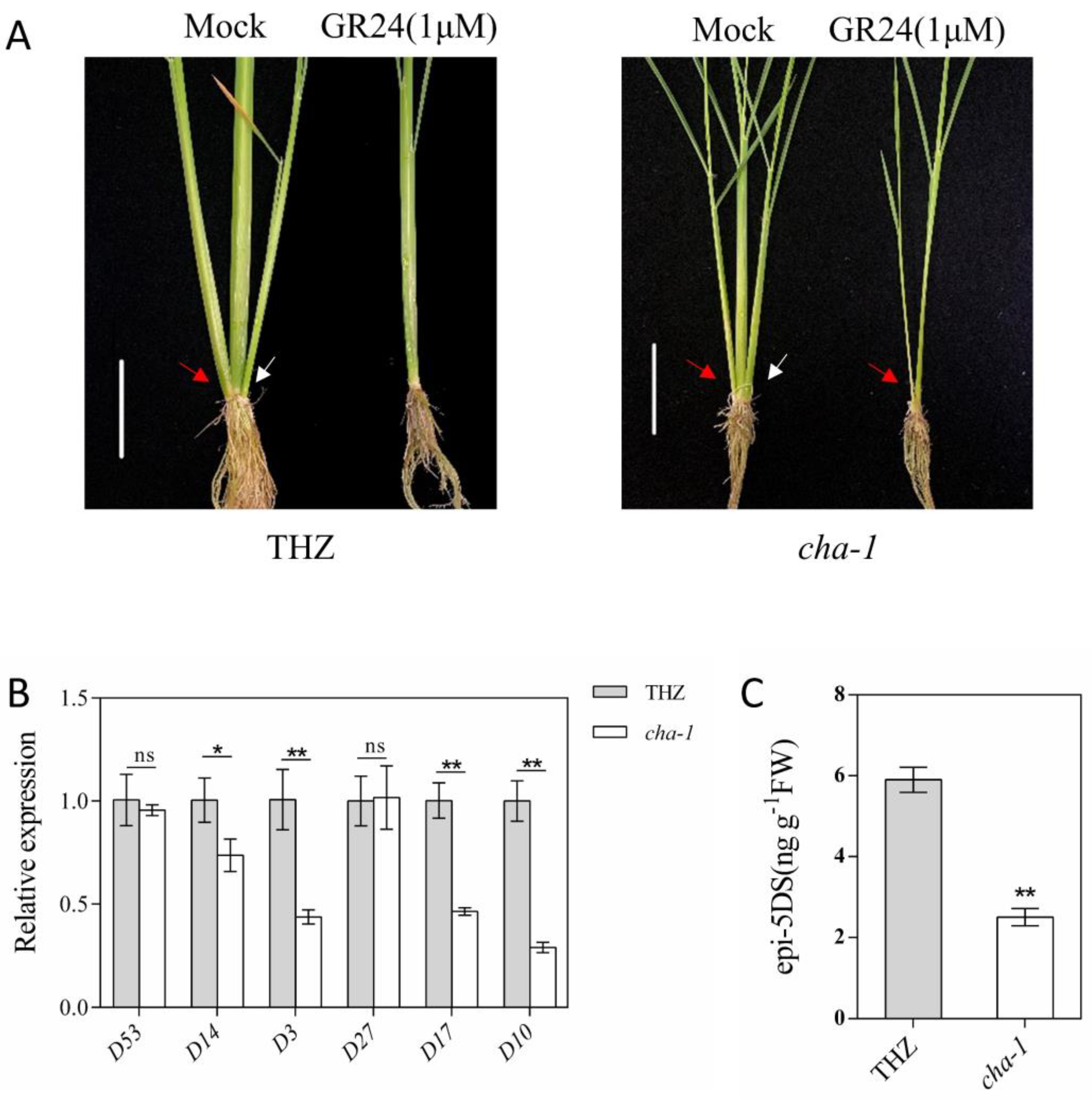 Plants 12 01507 g005