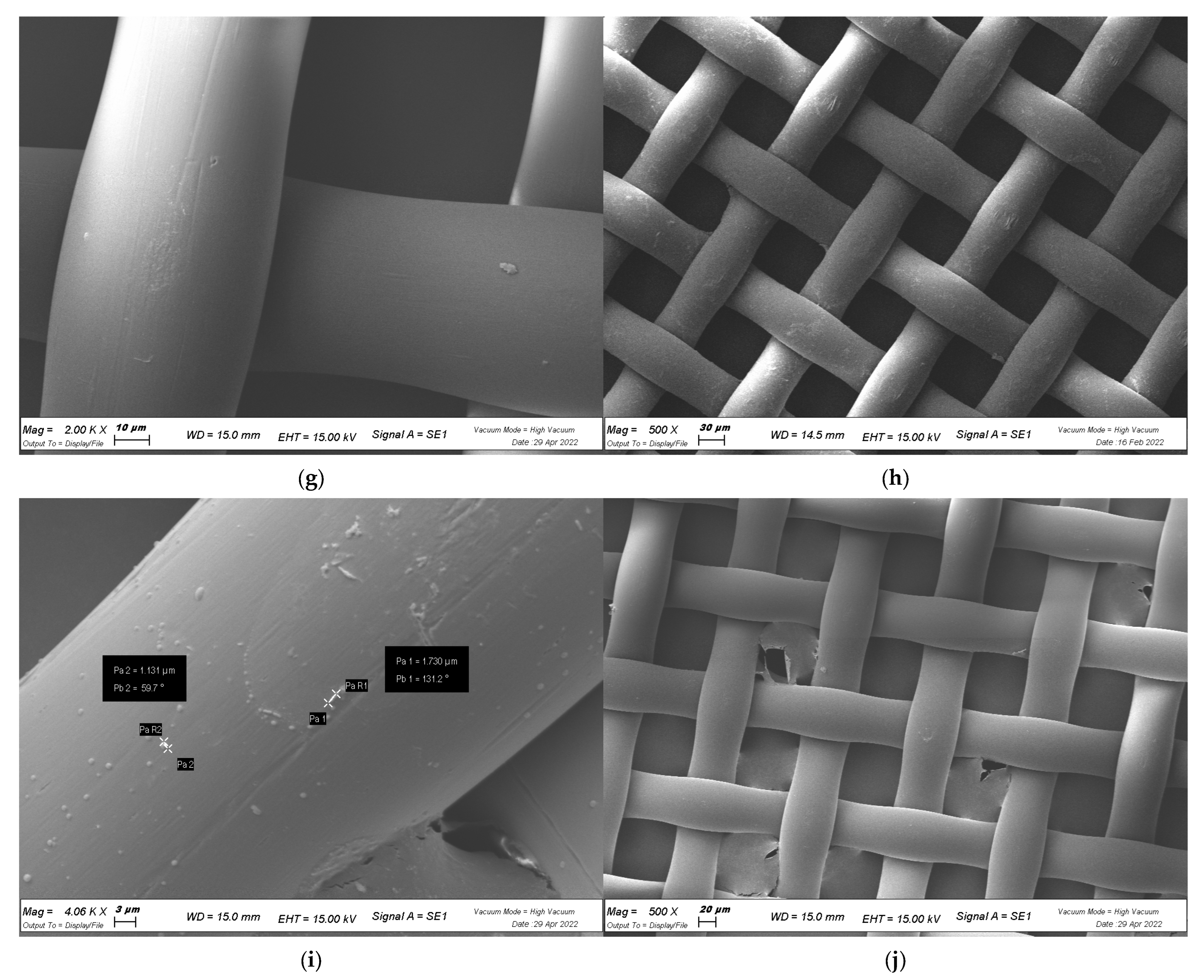 Plants 12 01508 g005b