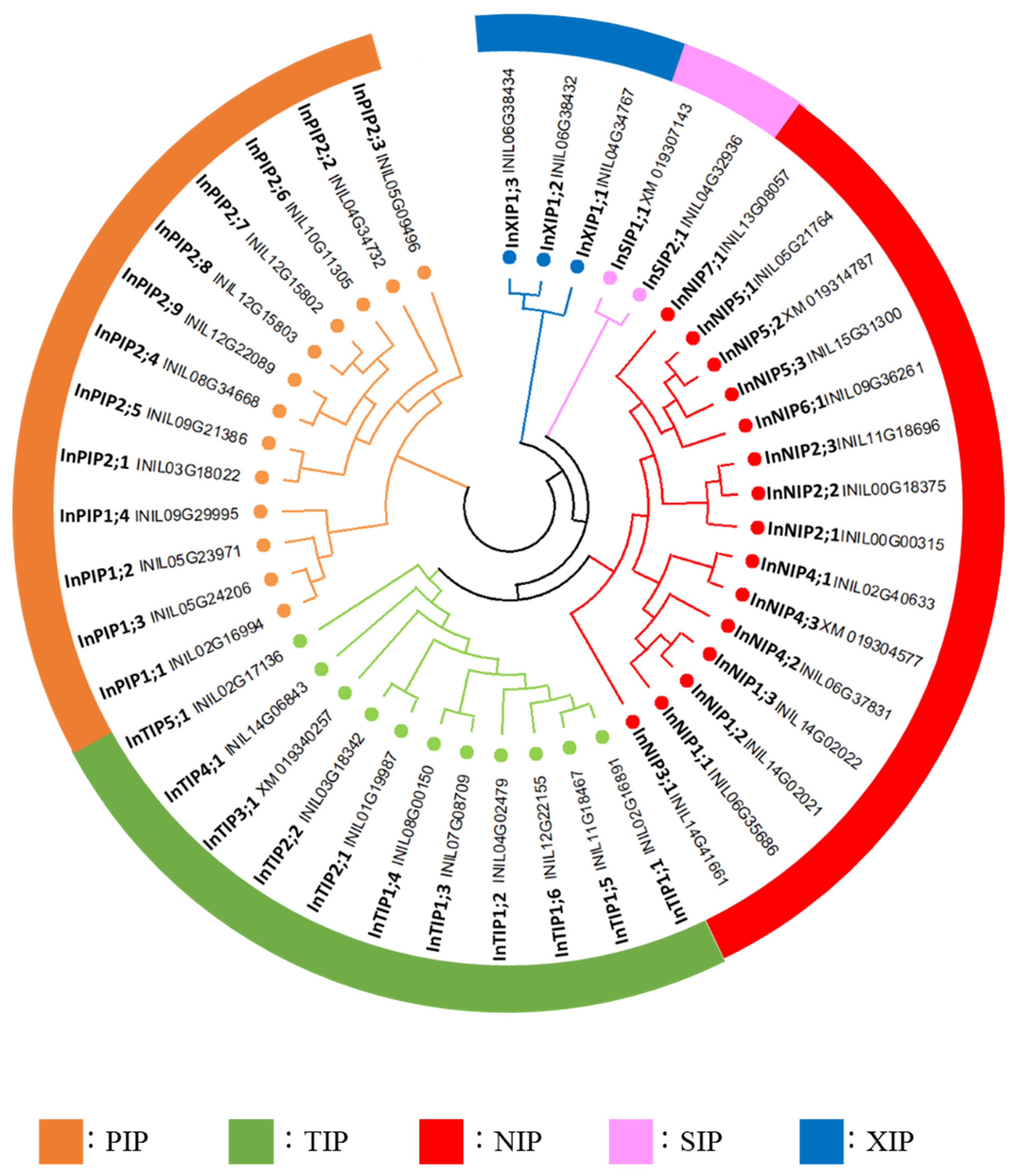 Plants 12 01511 g002