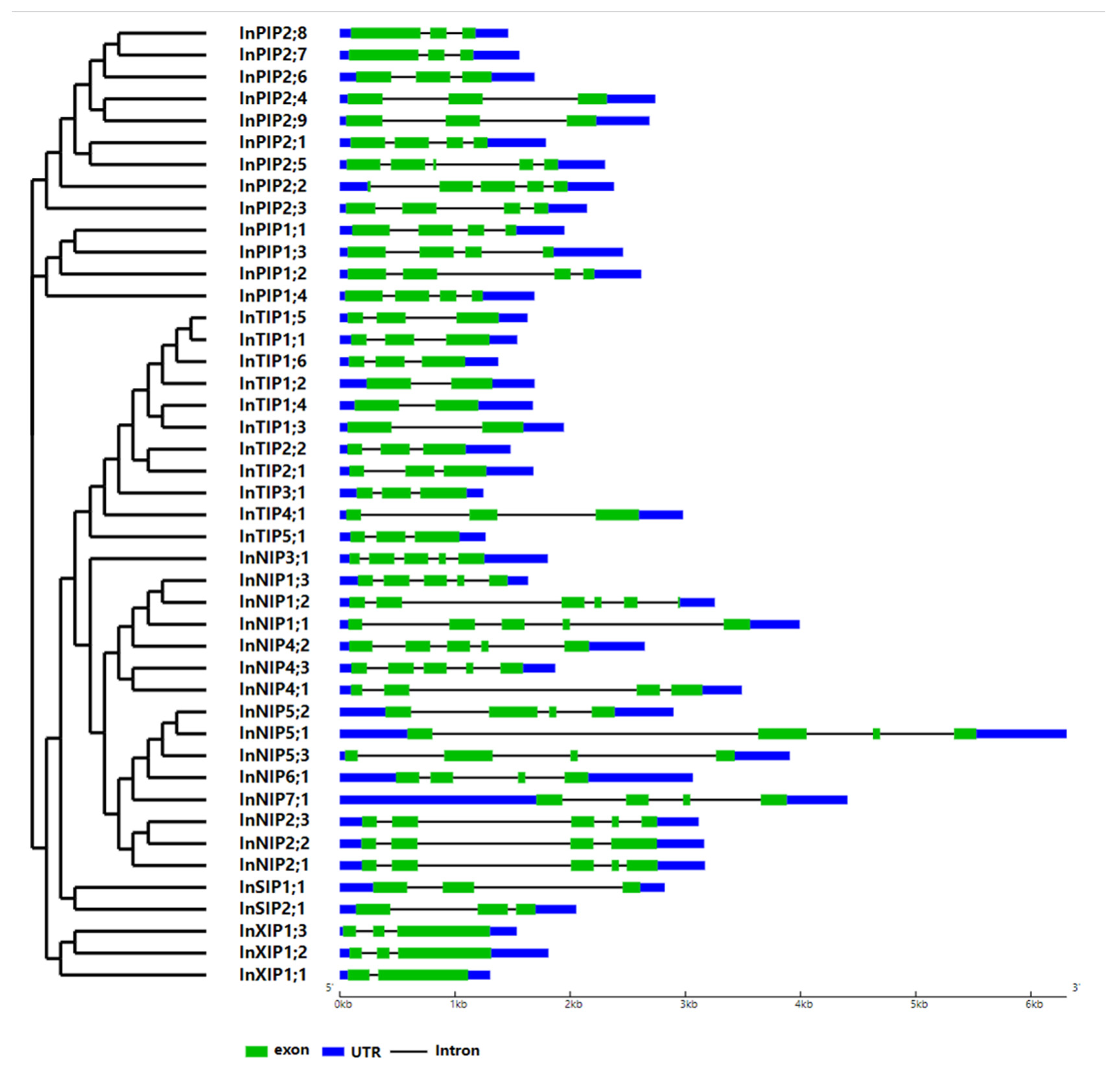 Plants 12 01511 g003