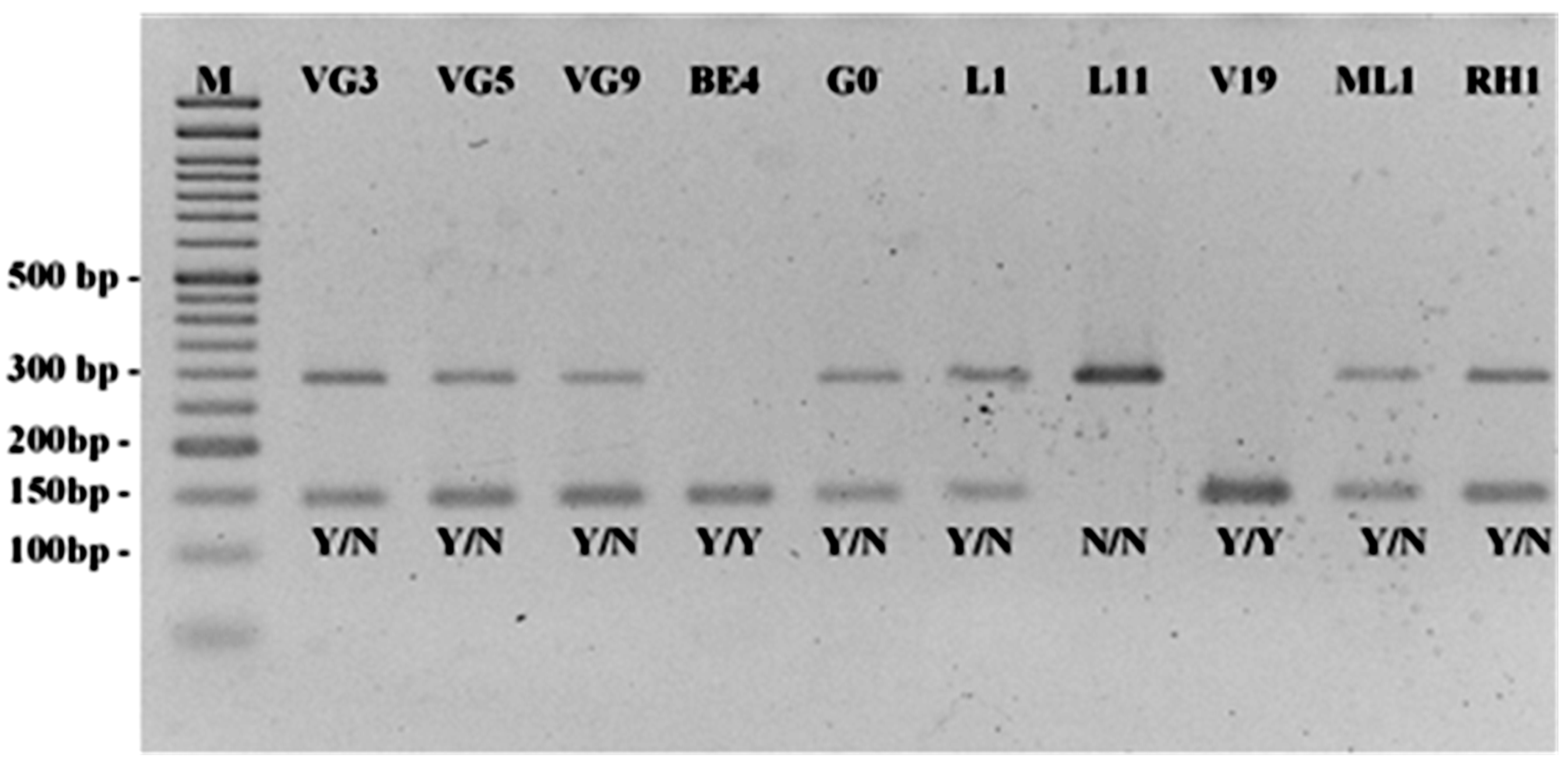 Plants 12 01517 g003 Plants 12 01517 g003