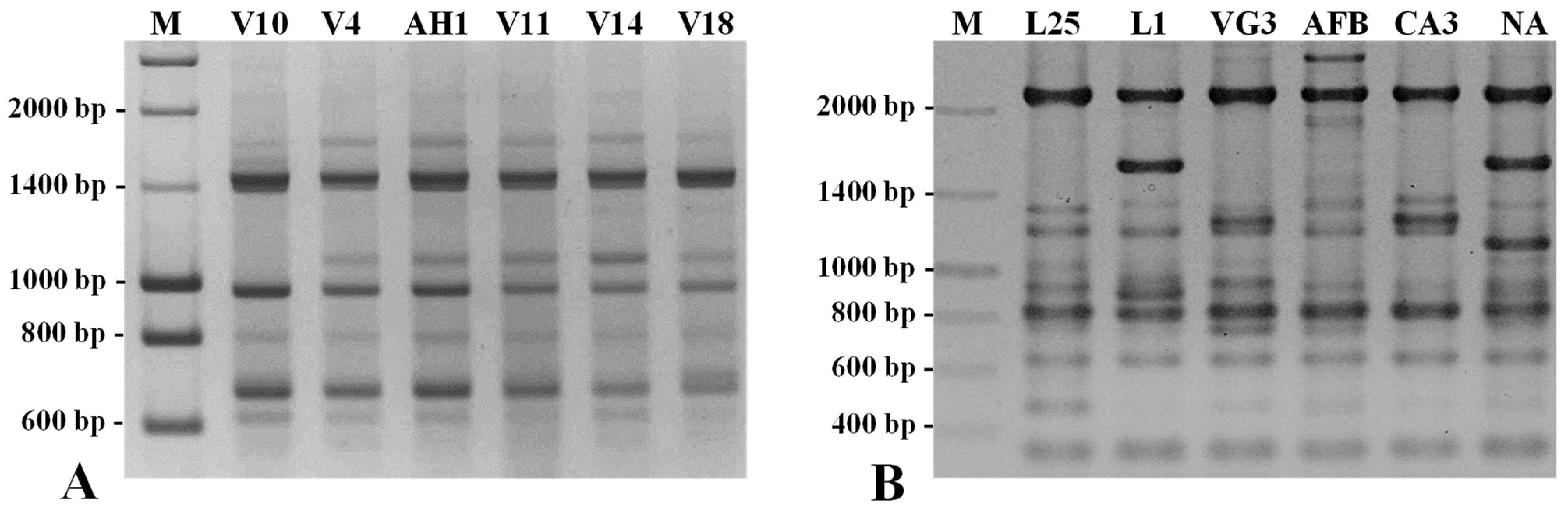 Plants 12 01517 g005 Plants 12 01517 g005