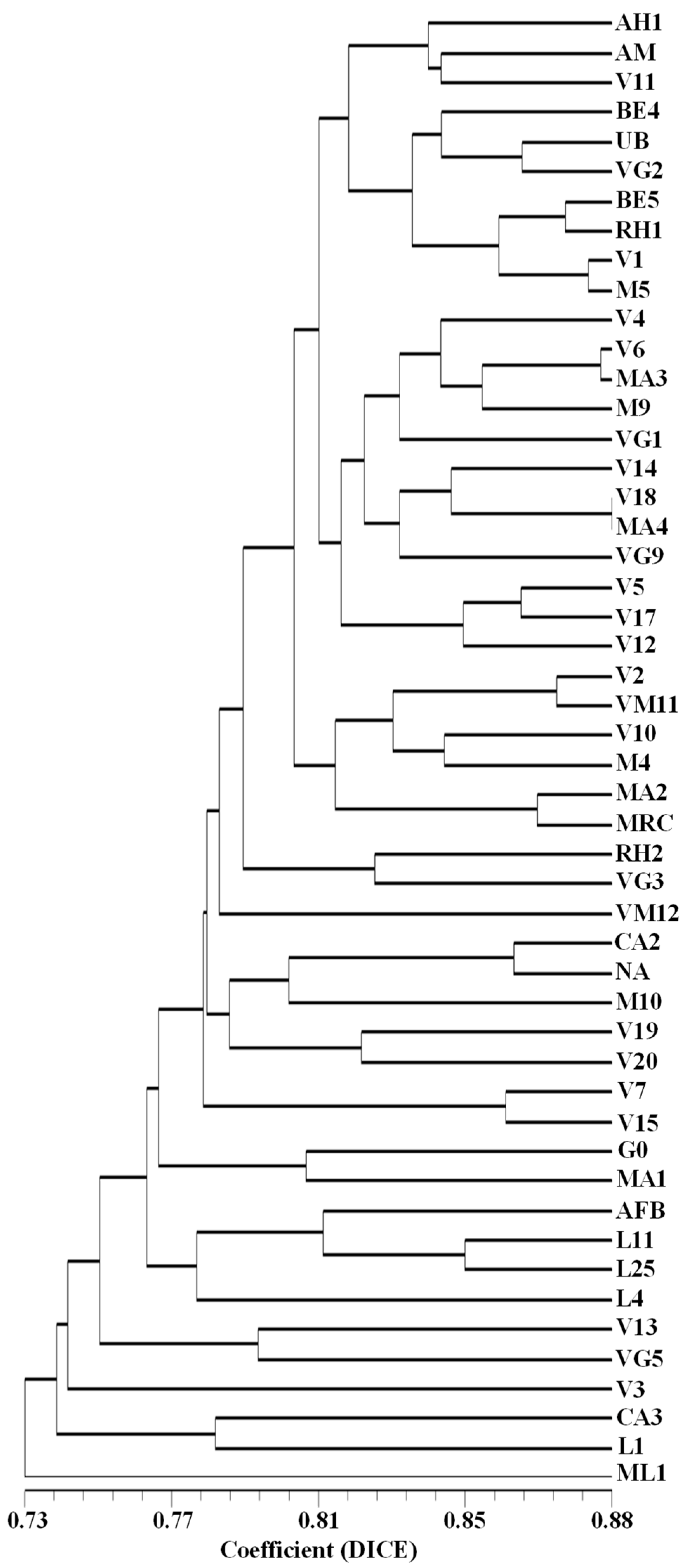 Plants 12 01517 g006 Plants 12 01517 g006