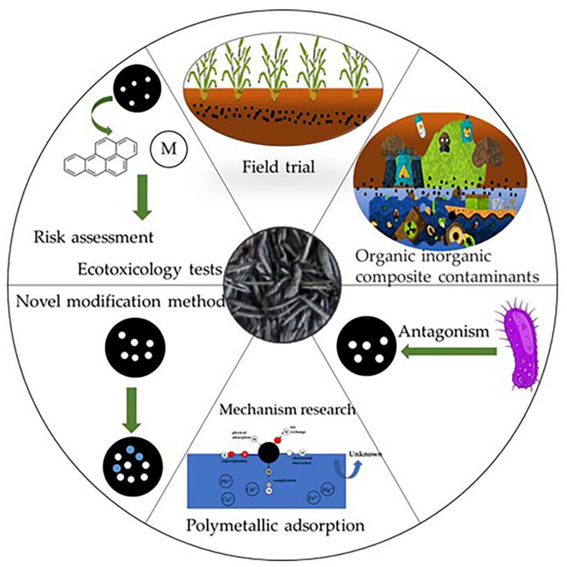 Plants 12 01524 g004
