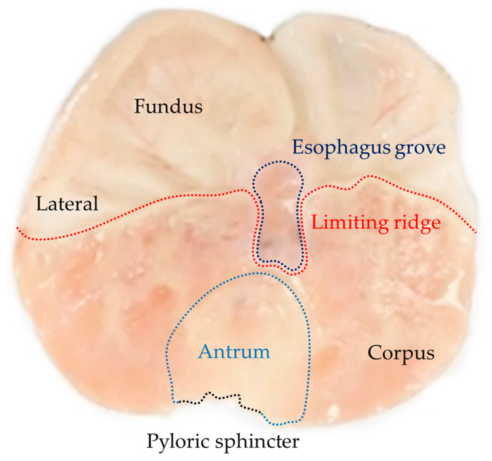 Plants 12 01586 g001