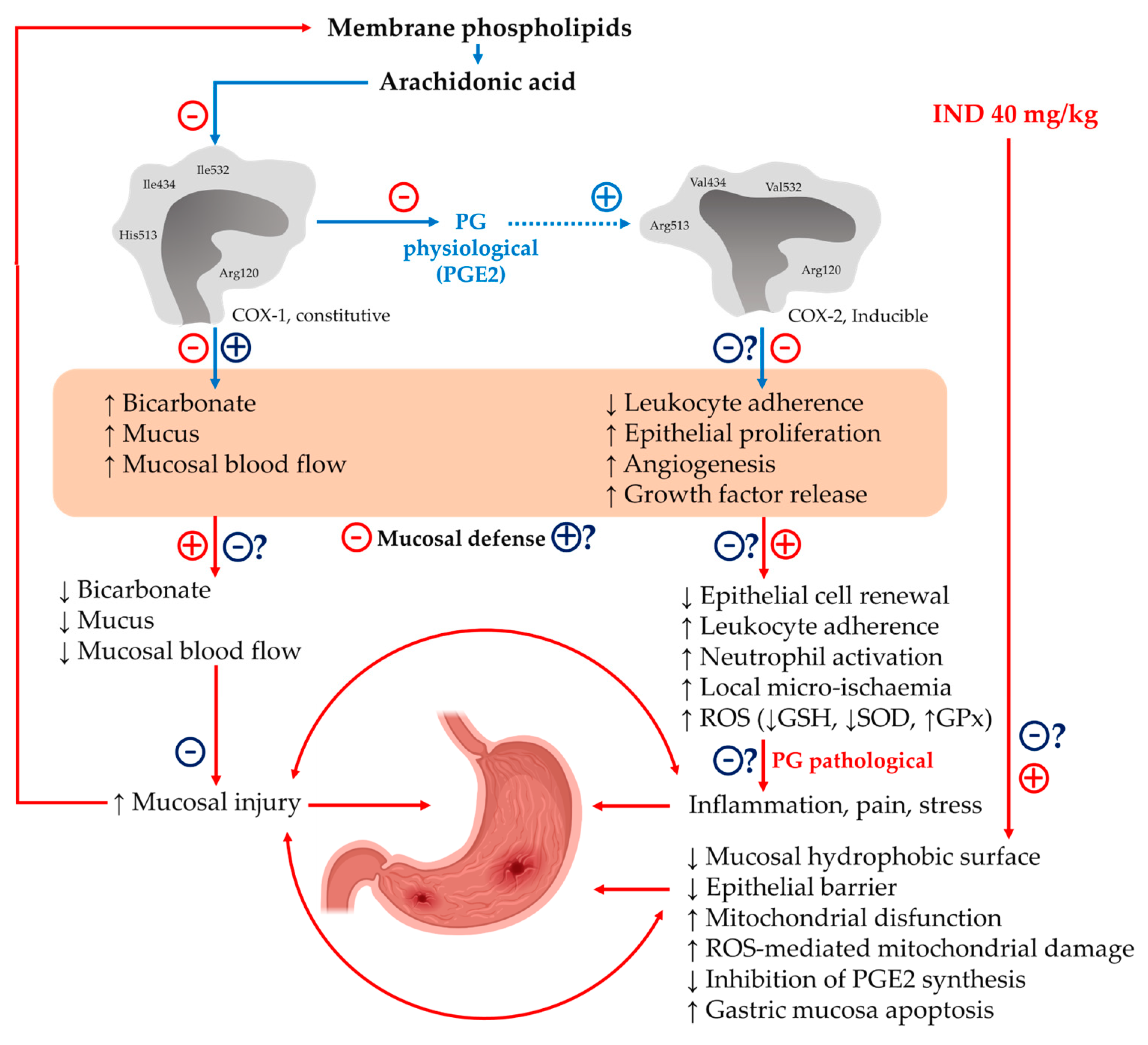 Plants 12 01586 g005