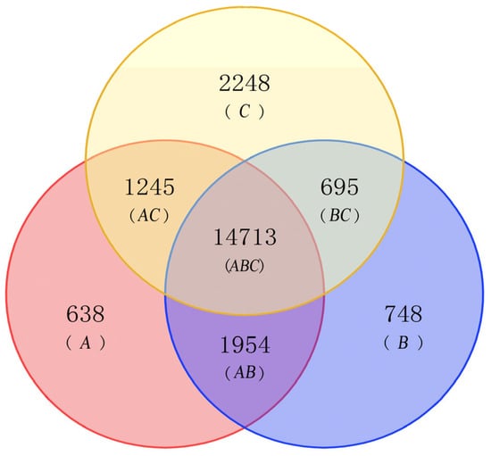 https://www.mdpi.com/plants/plants-12-01592/article_deploy/html/images/plants-12-01592-g001-550.jpg