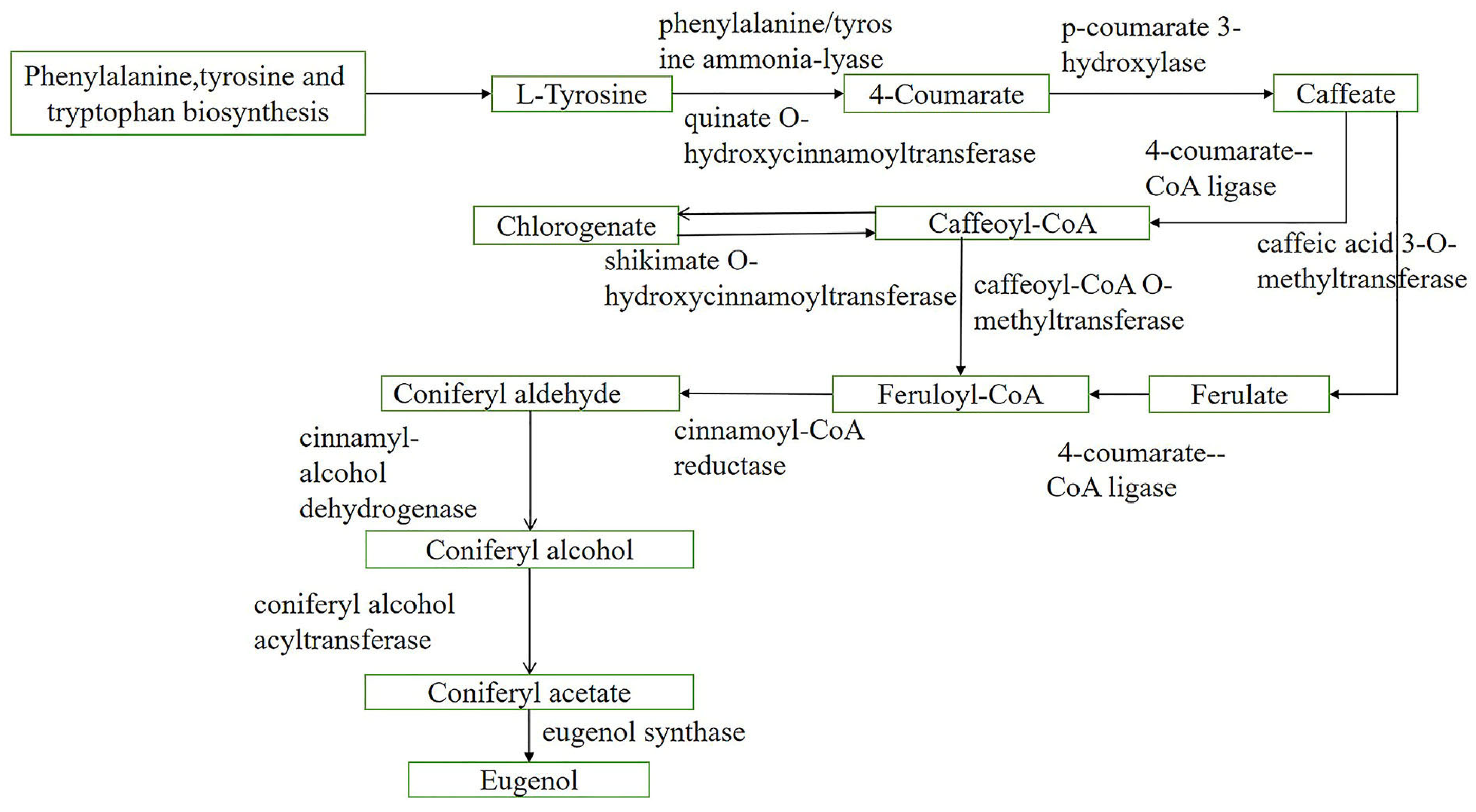 Plants 12 01592 g004 Plants 12 01592 g004