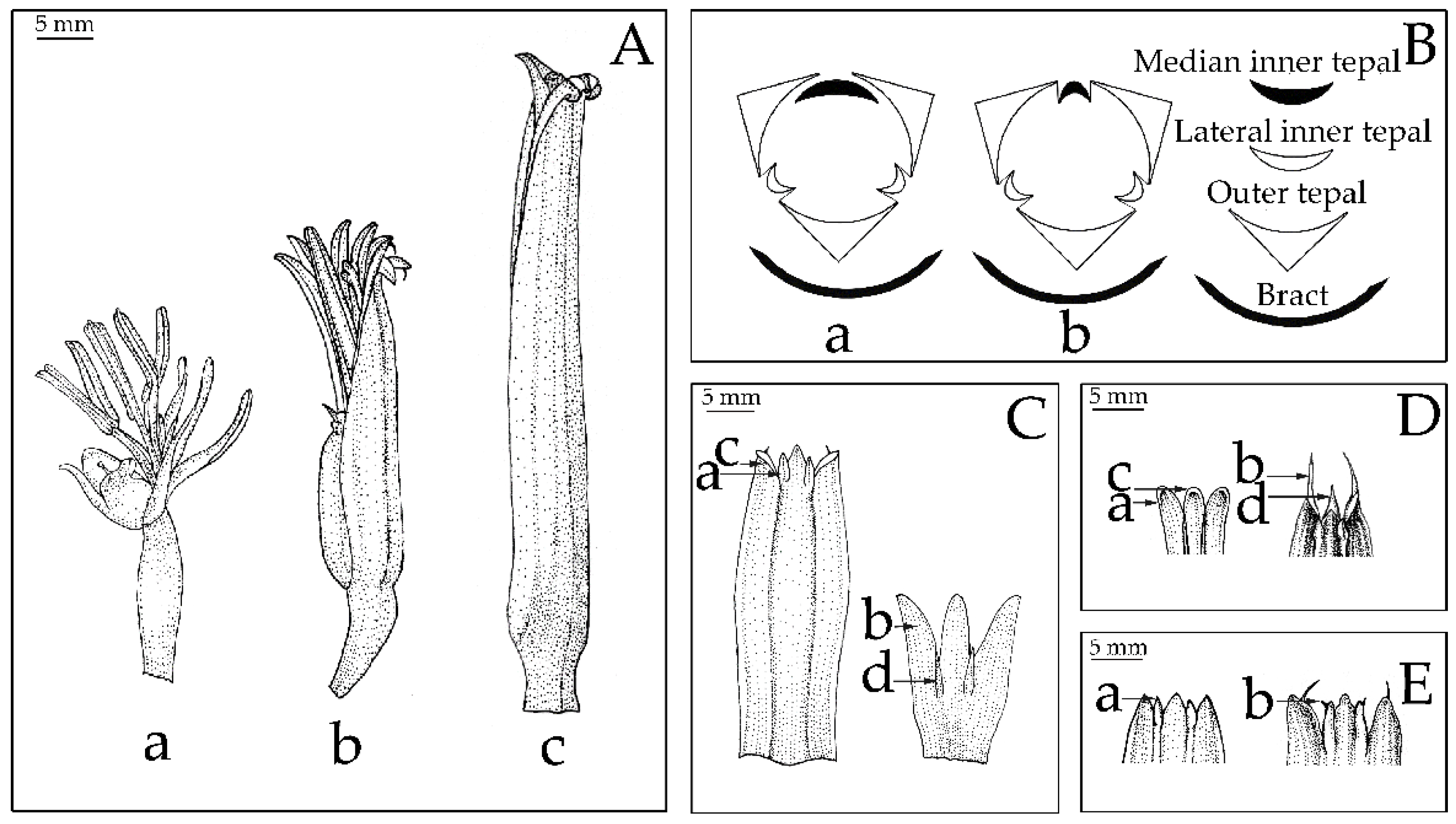 Plants 12 01602 g003 Plants 12 01602 g003