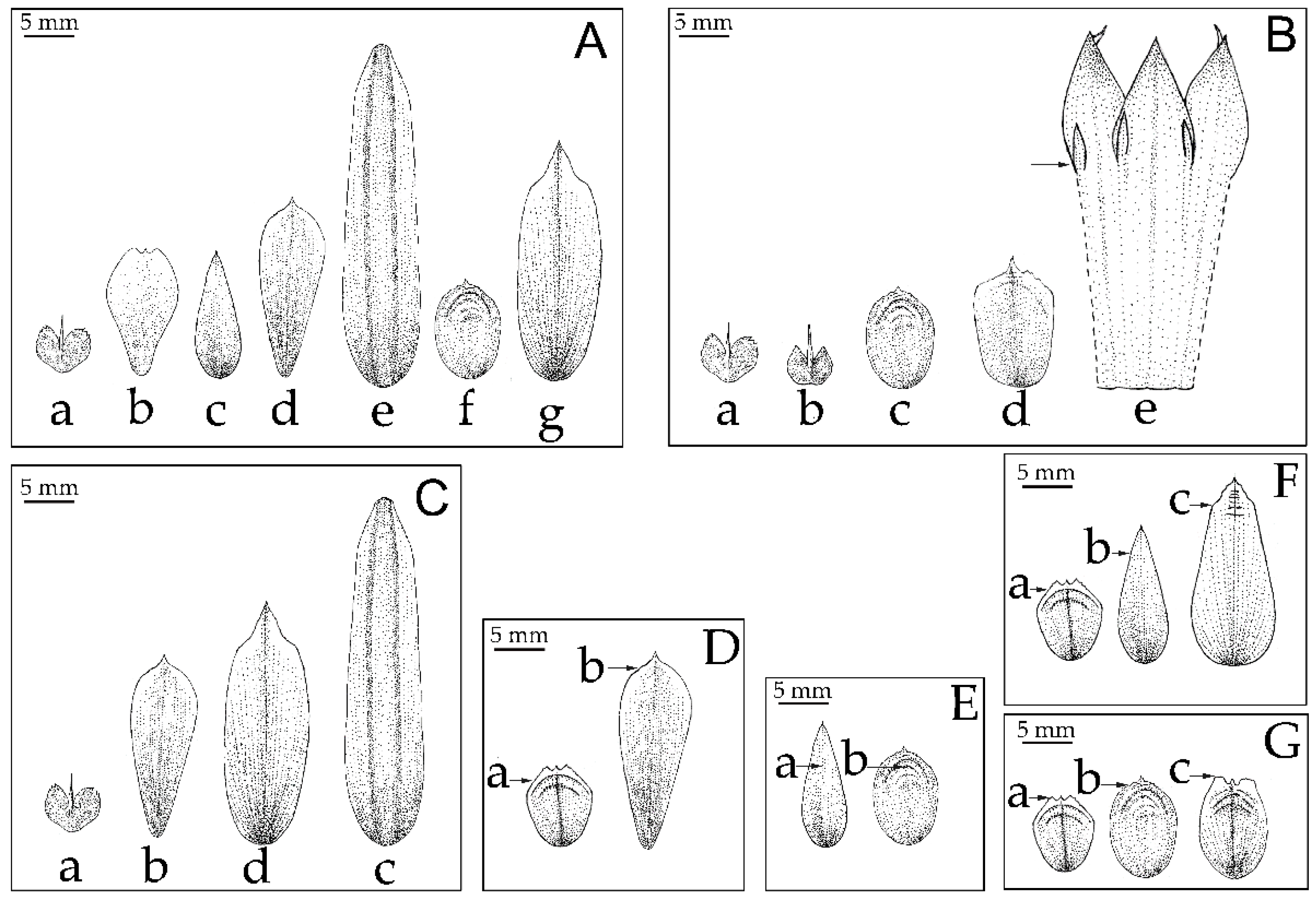 Plants 12 01602 g004 Plants 12 01602 g004