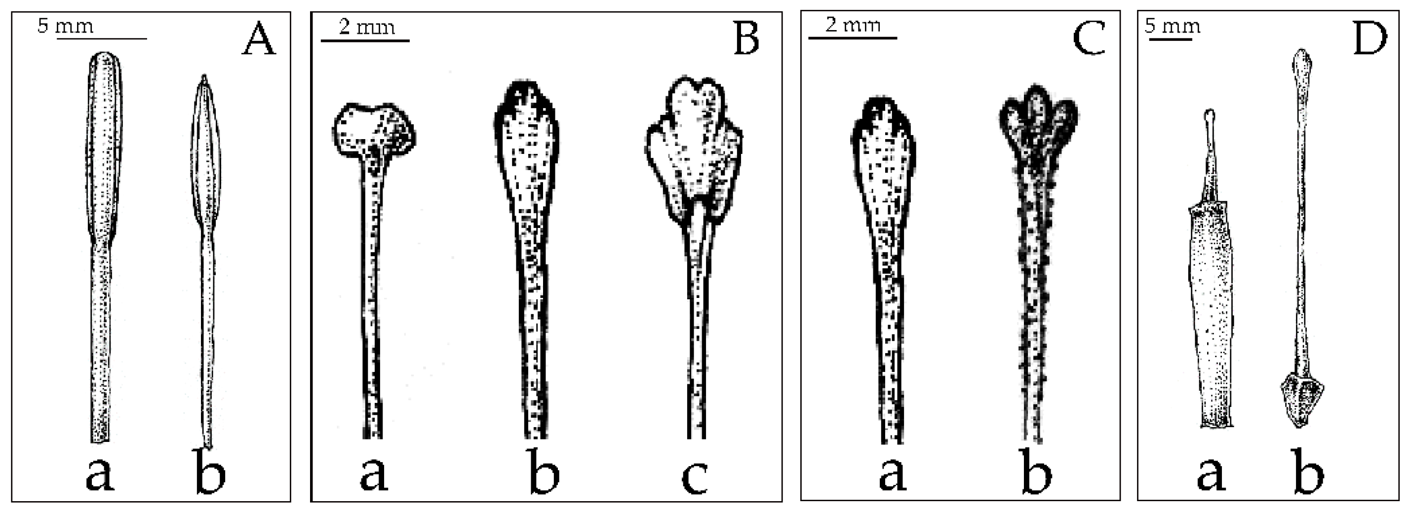 Plants 12 01602 g005 Plants 12 01602 g005