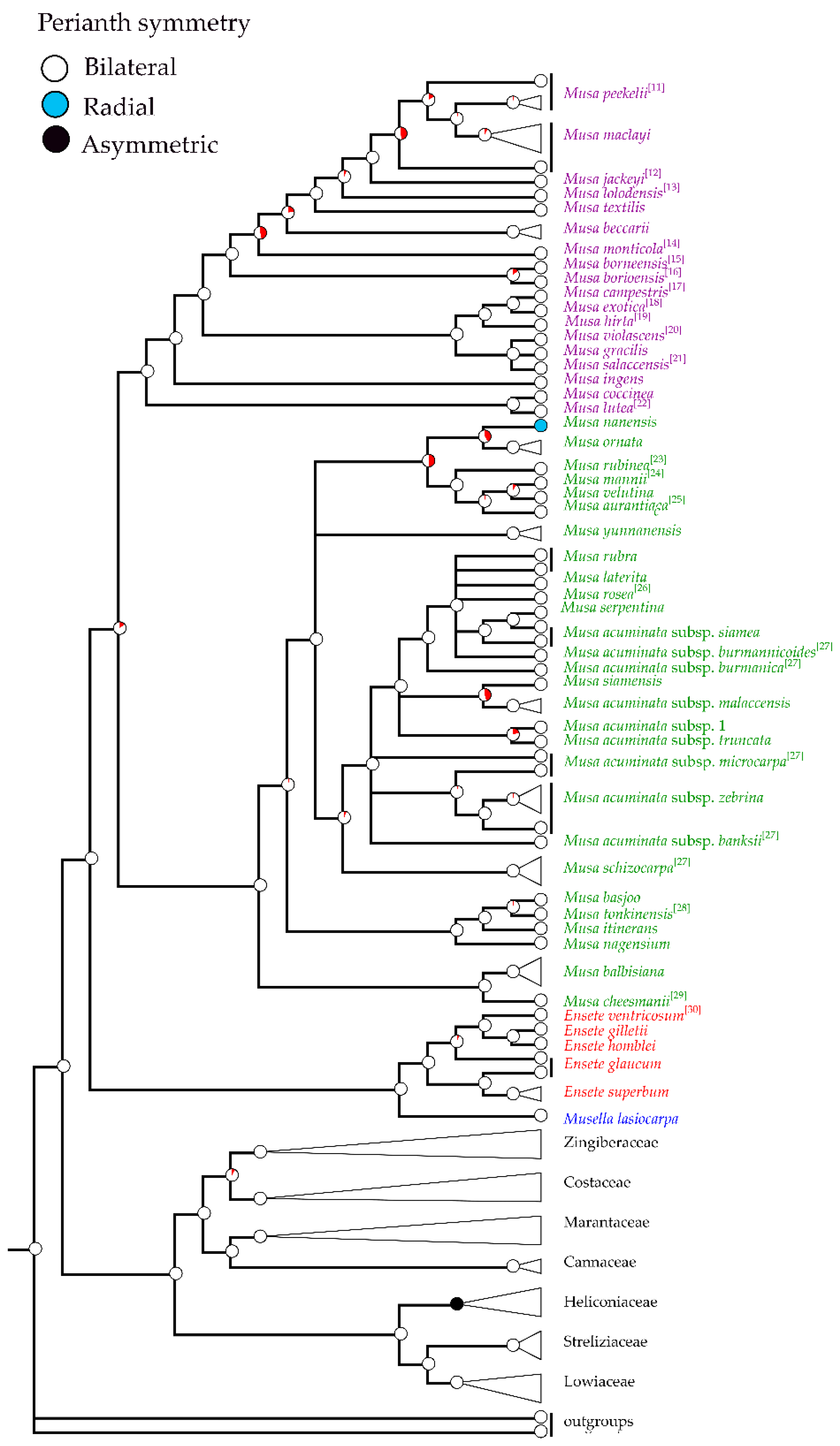 Plants 12 01602 g007 Plants 12 01602 g007