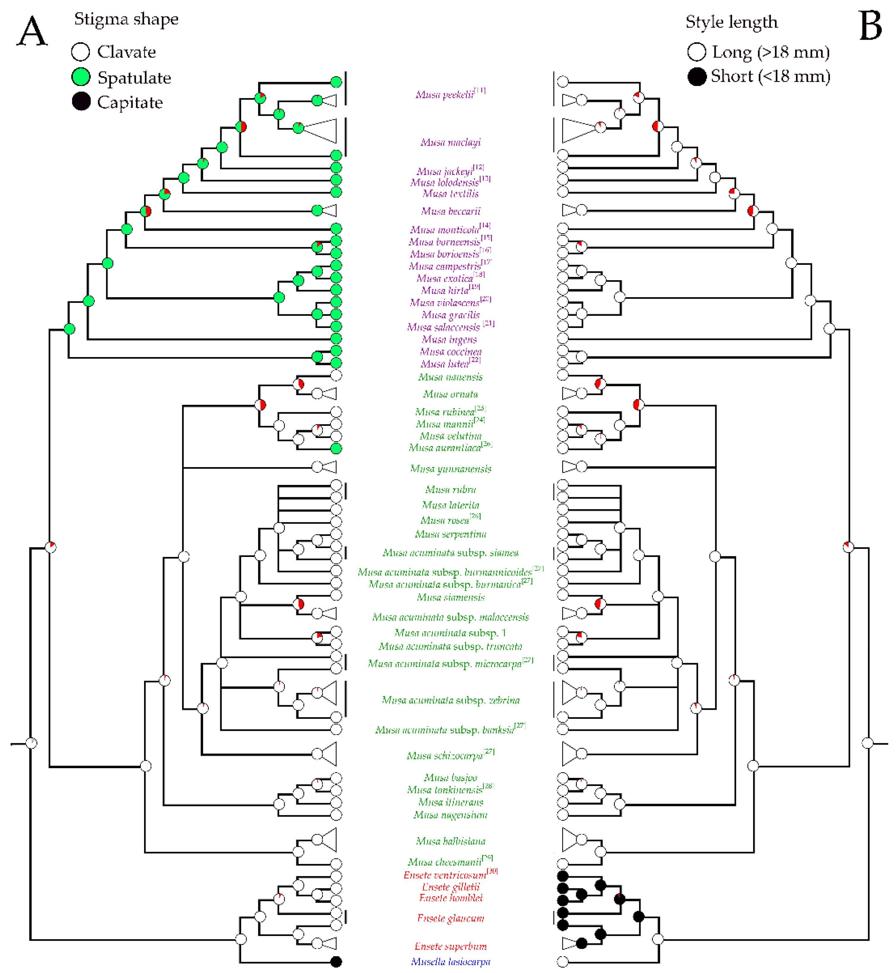 Plants 12 01602 g009 Plants 12 01602 g009