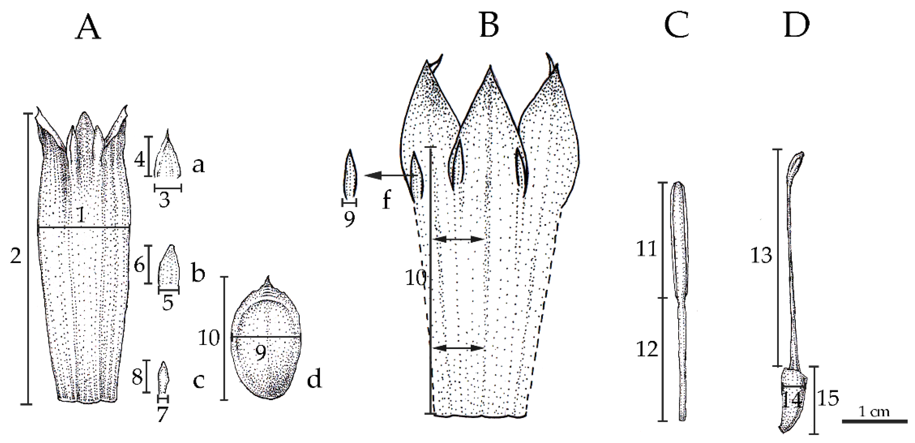 Plants 12 01602 g010 Plants 12 01602 g010