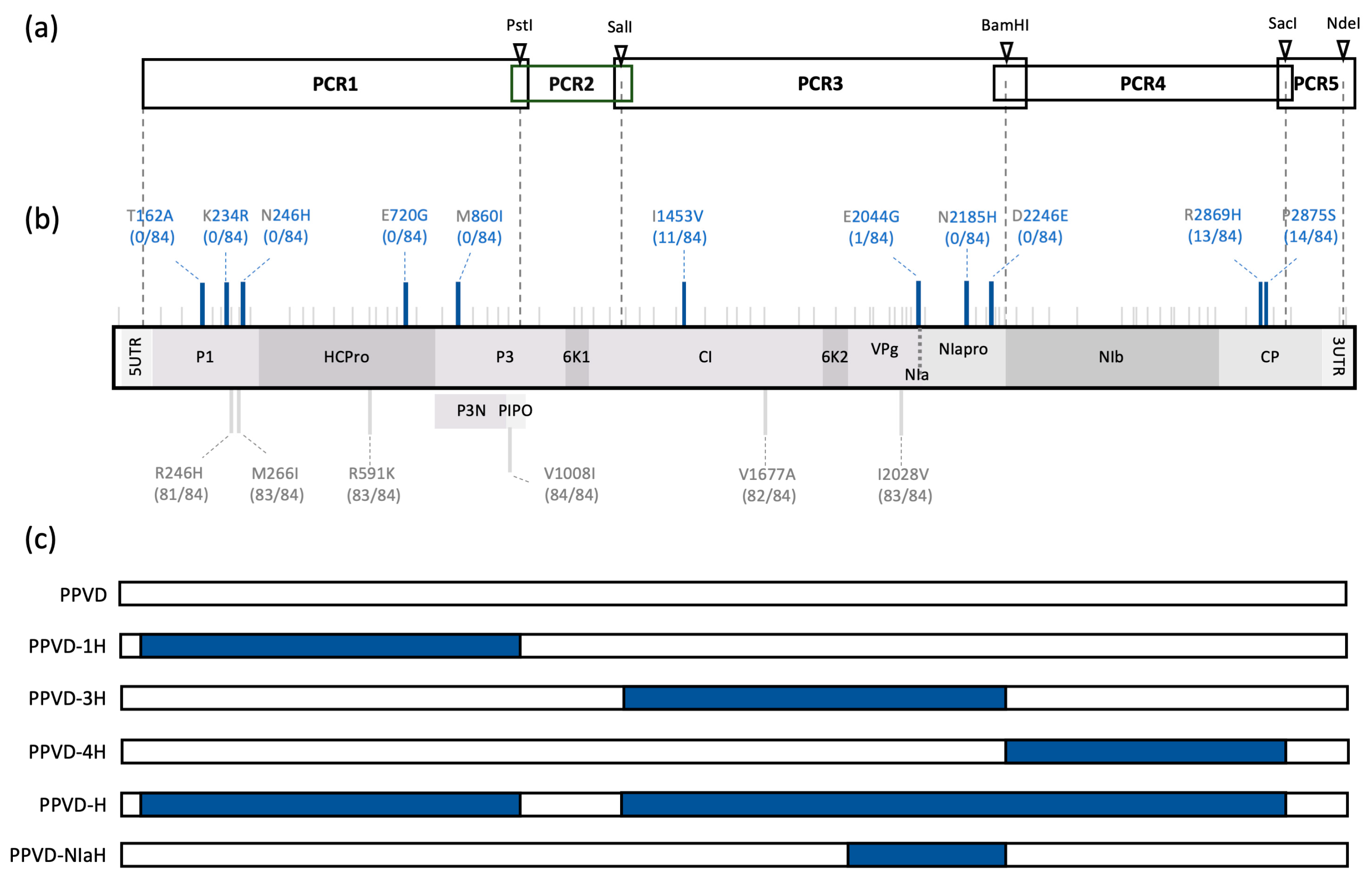Plants 12 01609 g001 Plants 12 01609 g001