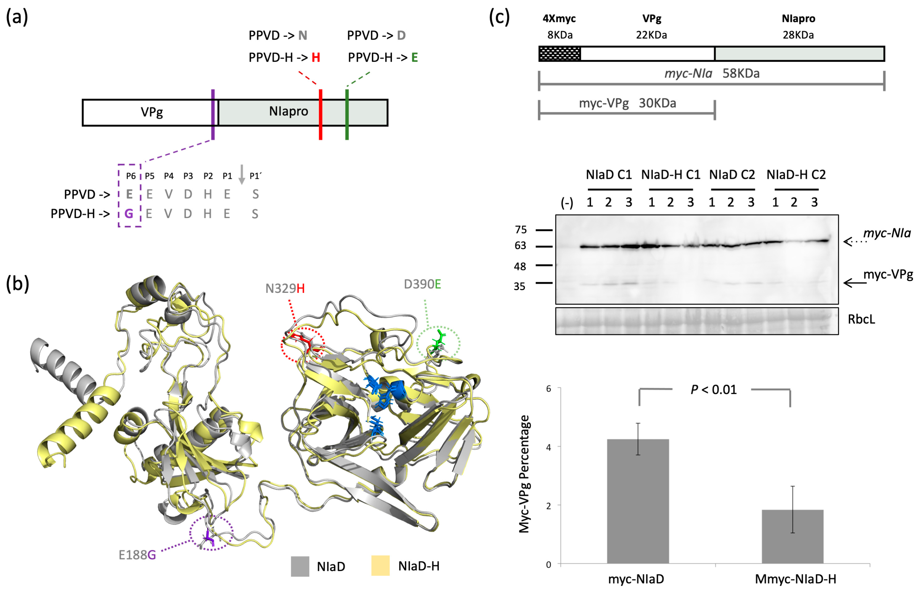 Plants 12 01609 g005 Plants 12 01609 g005