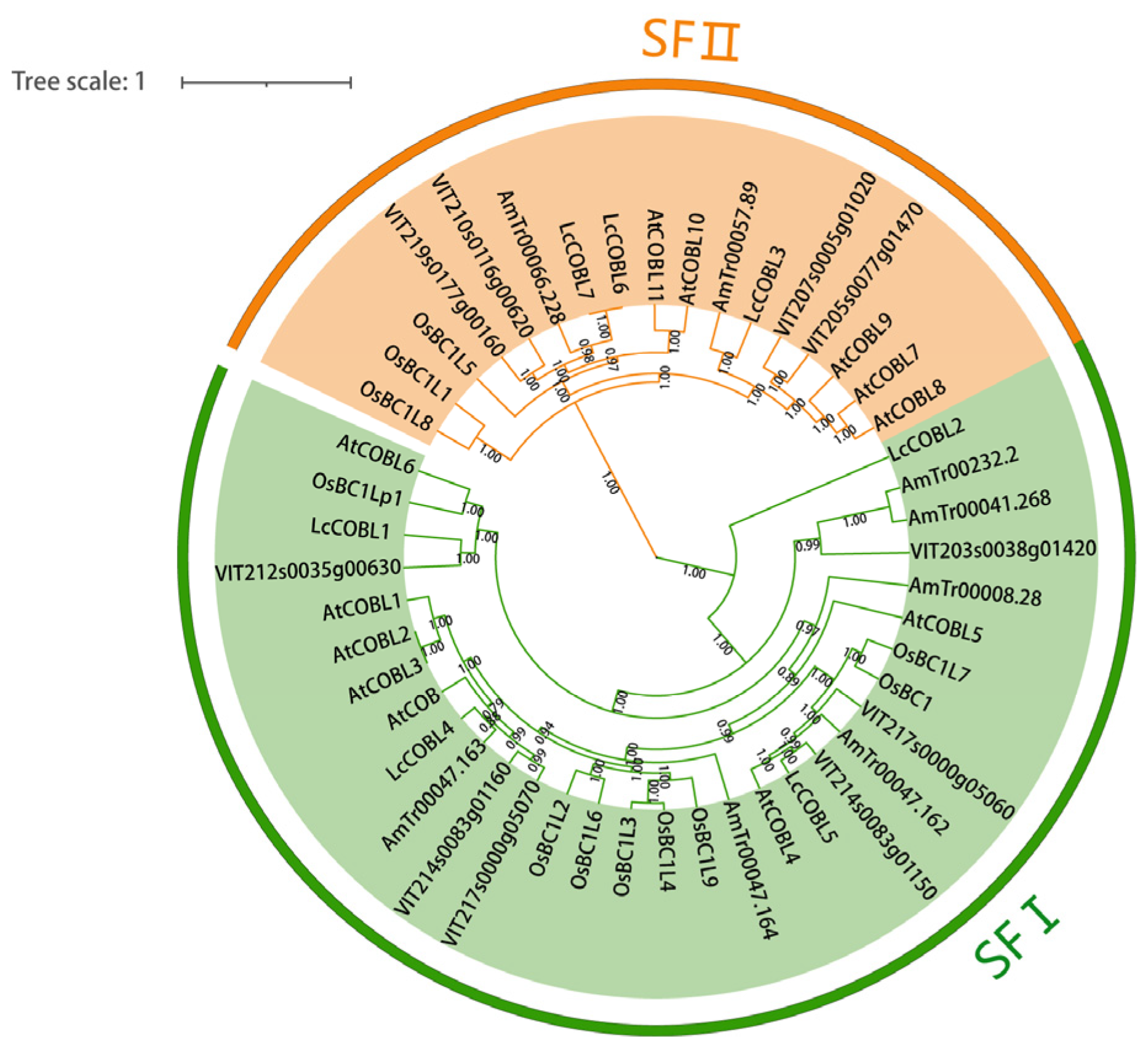 Plants 12 01616 g001