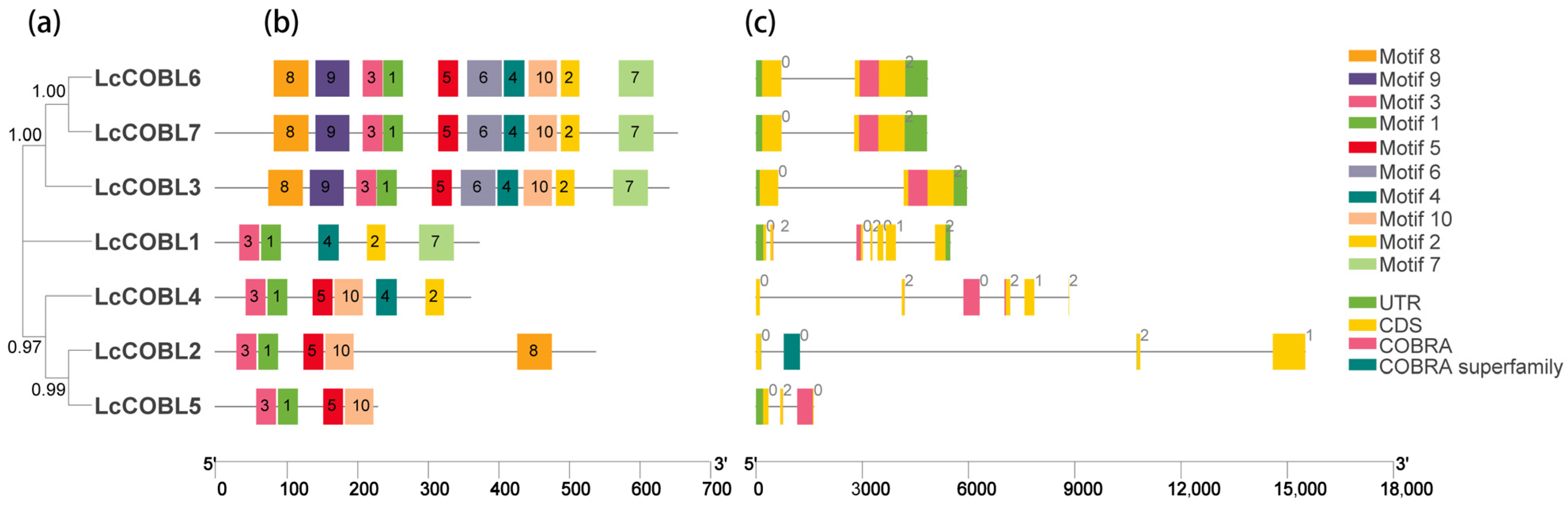Plants 12 01616 g002