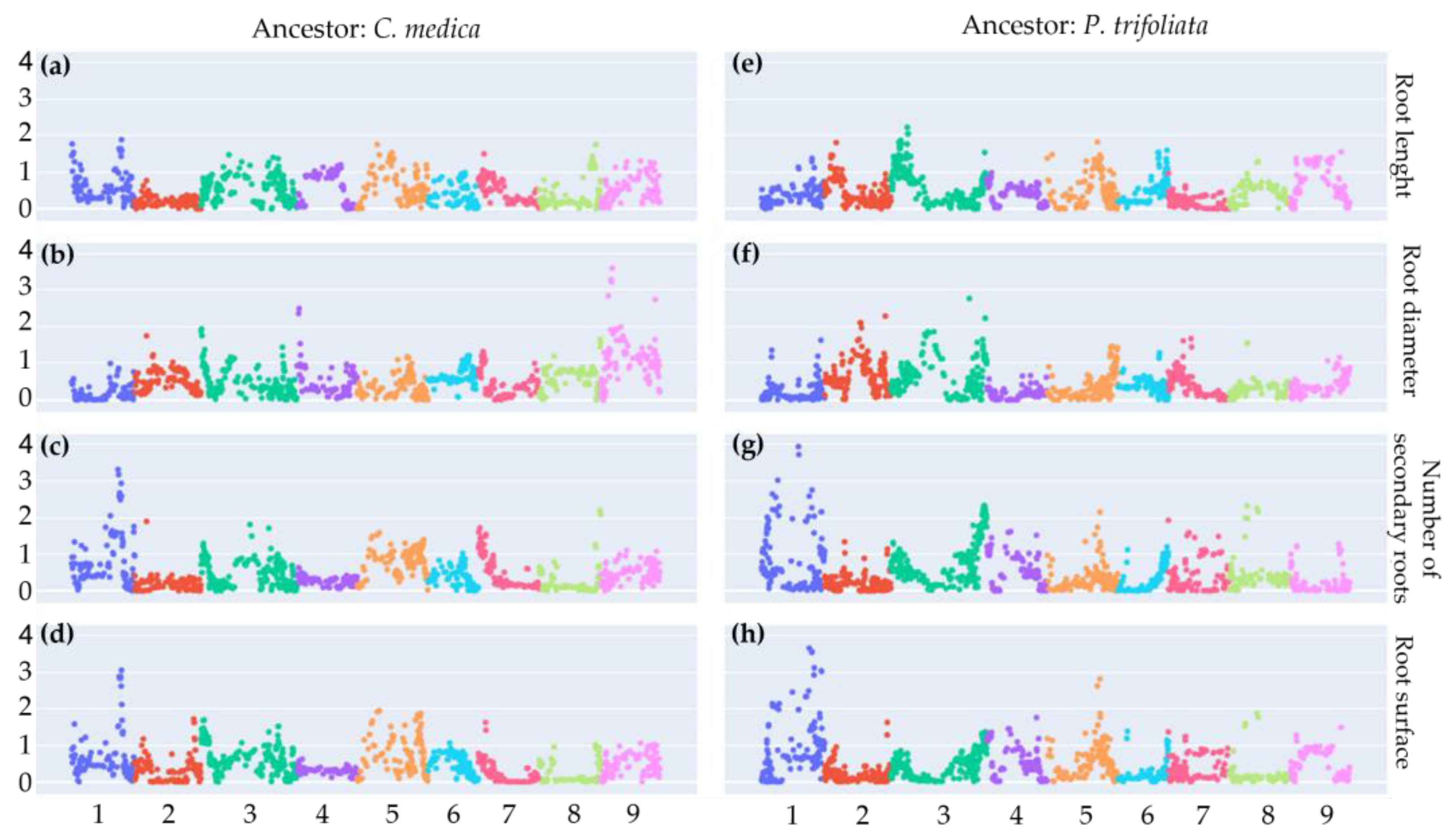 Plants 12 01630 g006 Plants 12 01630 g006