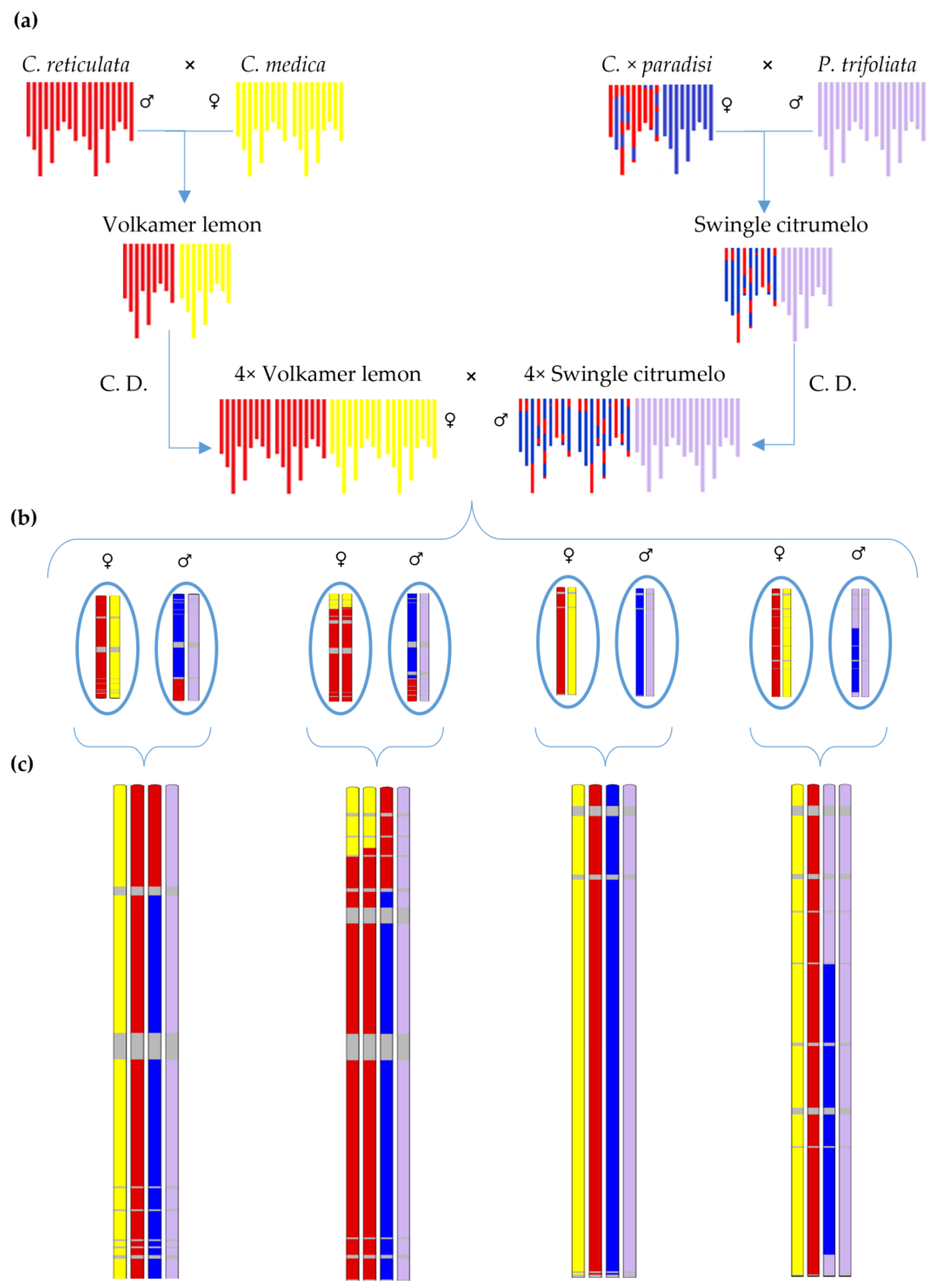 Plants 12 01630 g007 Plants 12 01630 g007