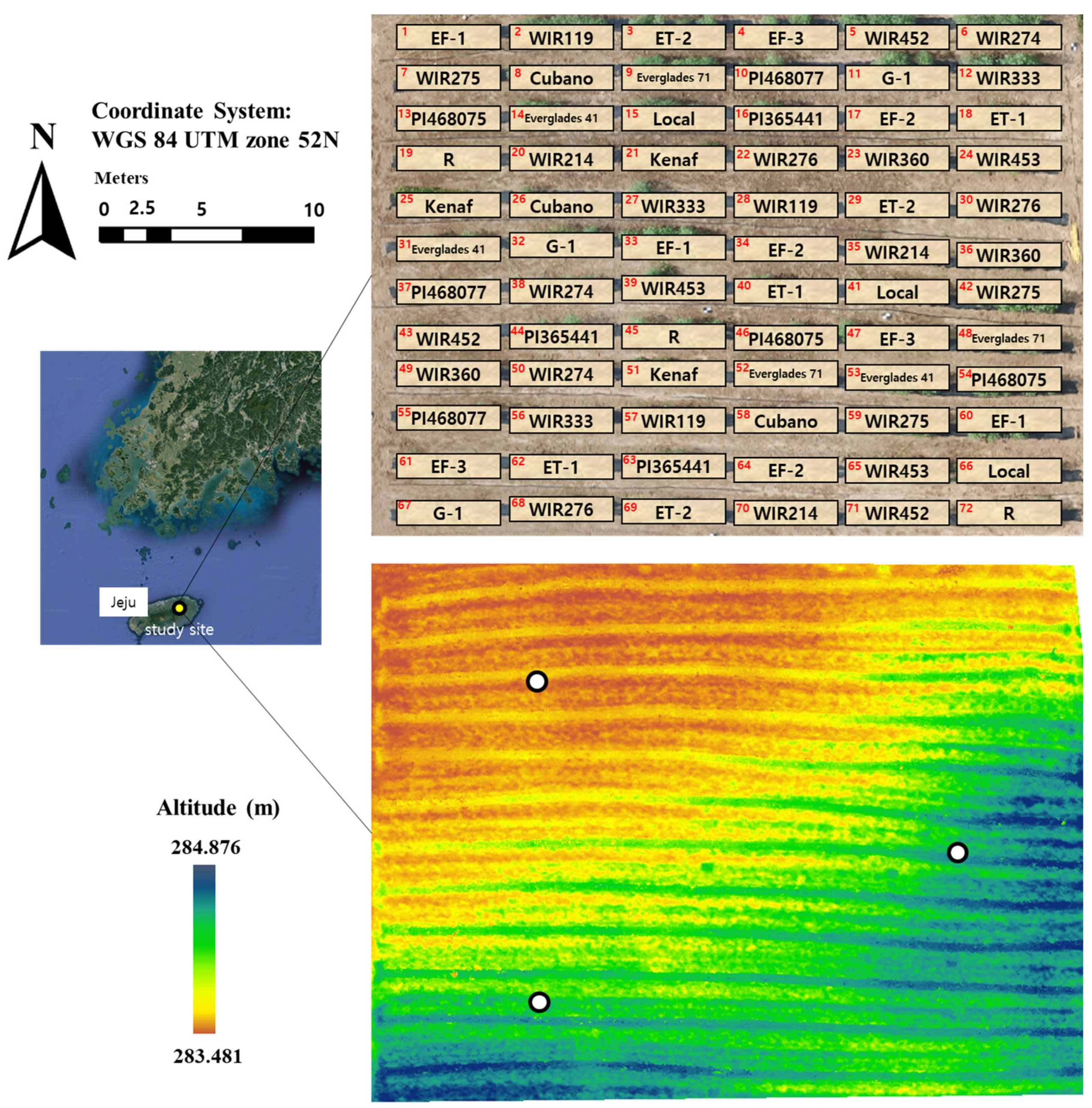 Plants 12 01638 g004