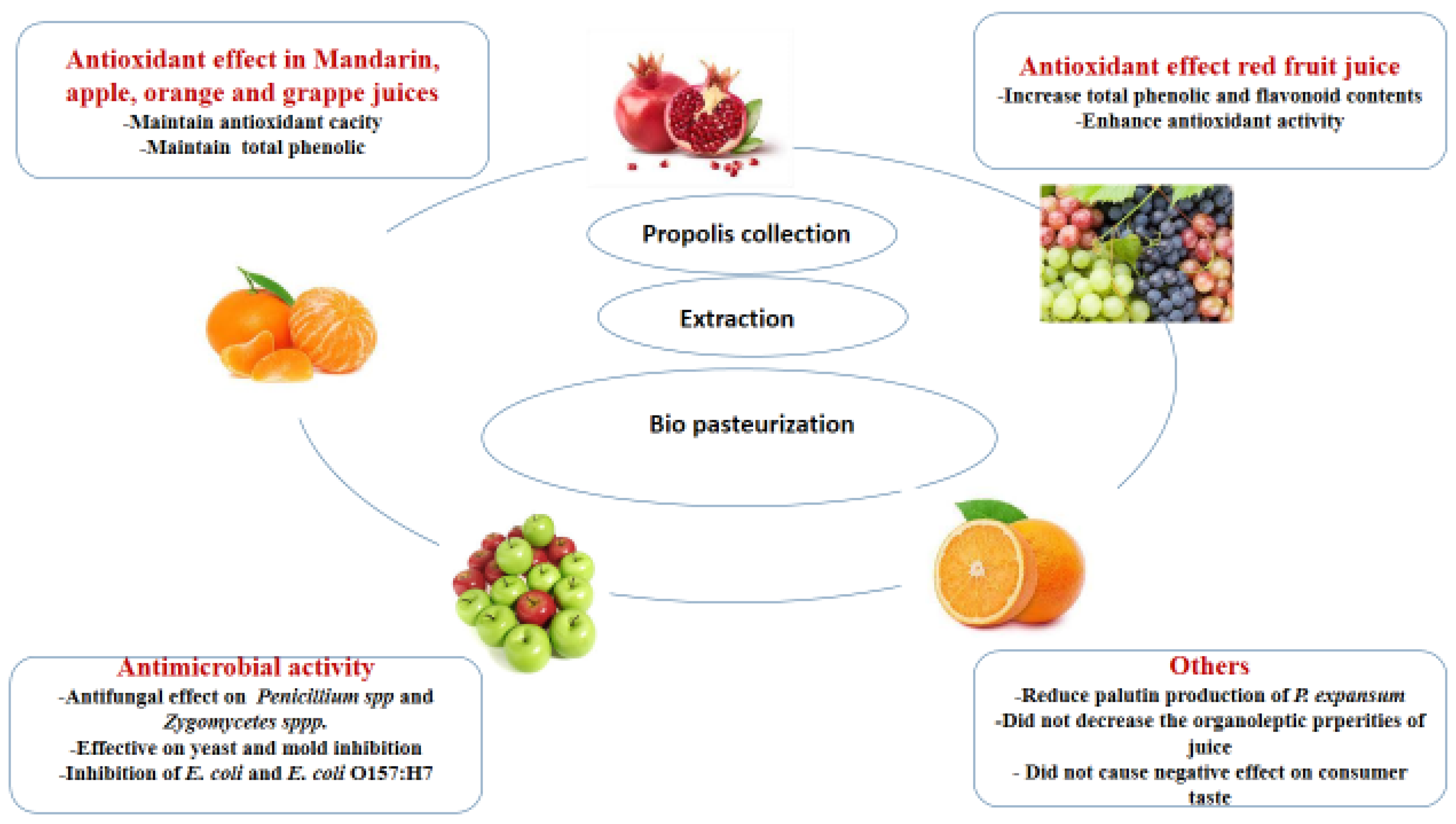 The effect of either propolis (Prop) or curcumin (Cur) on a