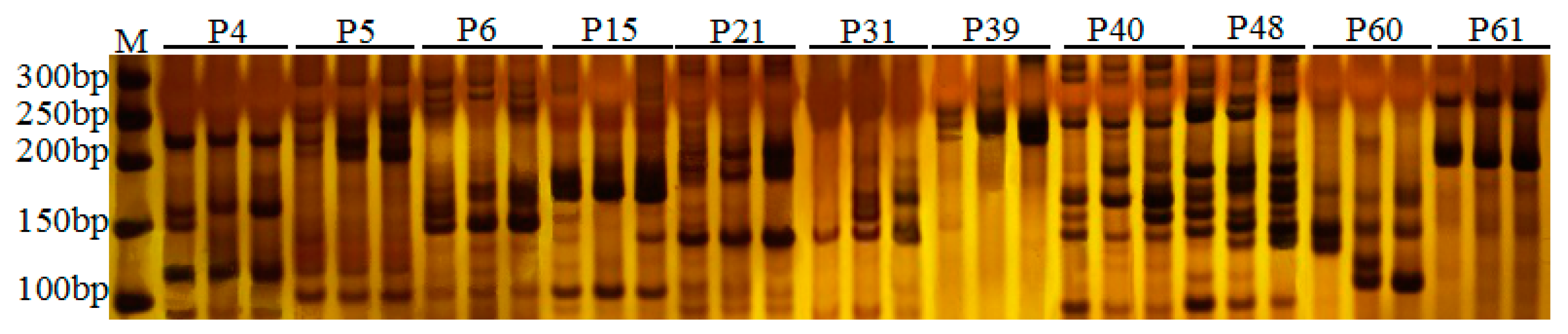 Plants 12 01661 g003 Plants 12 01661 g003