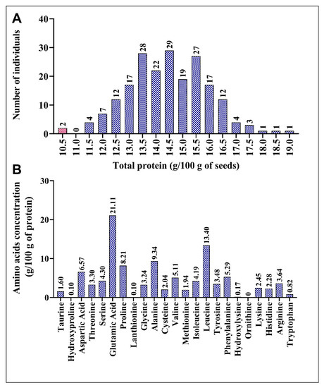 Plants | Free Full-Text | Variations in Total Protein and Amino 