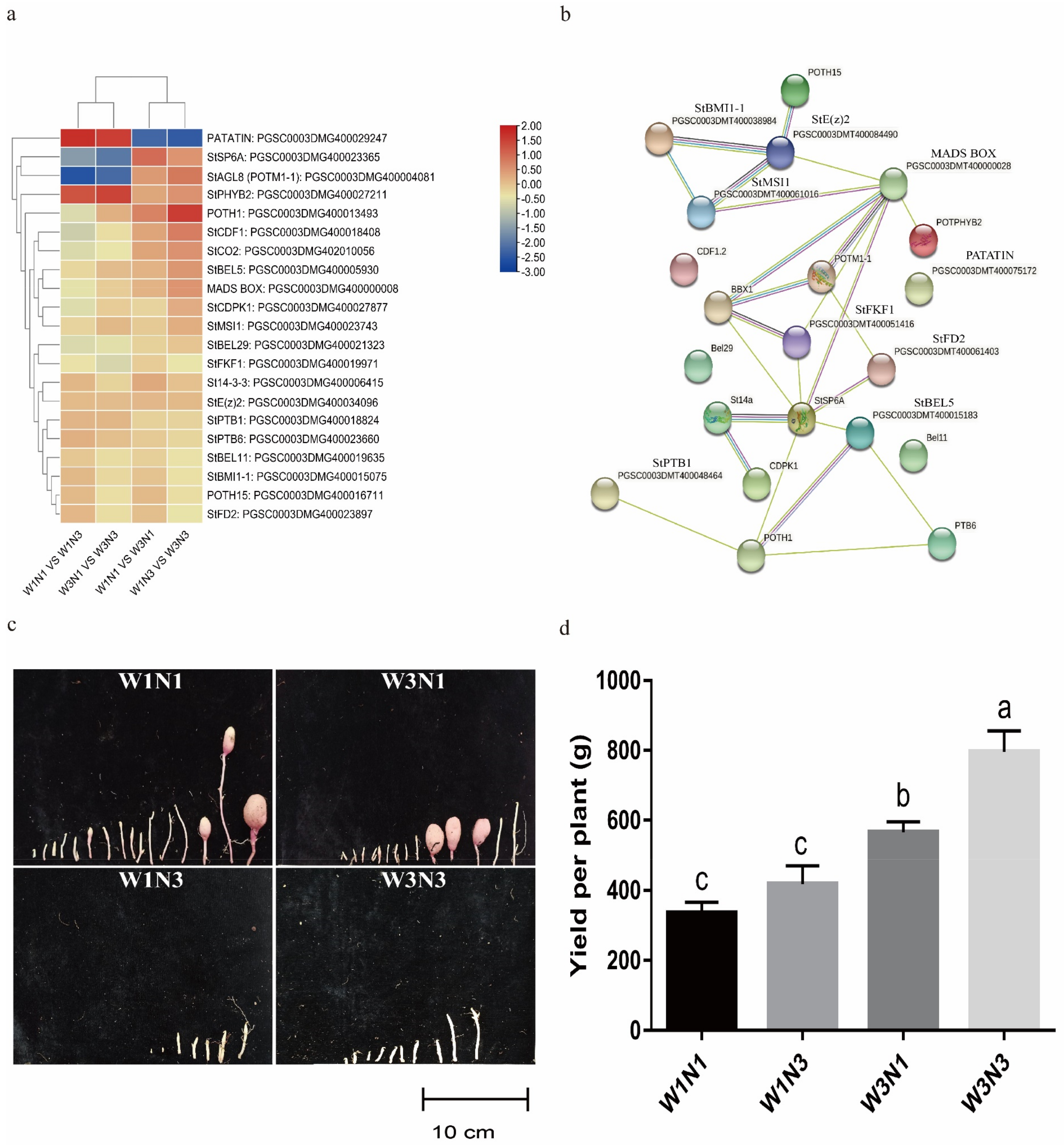 Plants 12 01671 g004 Plants 12 01671 g004