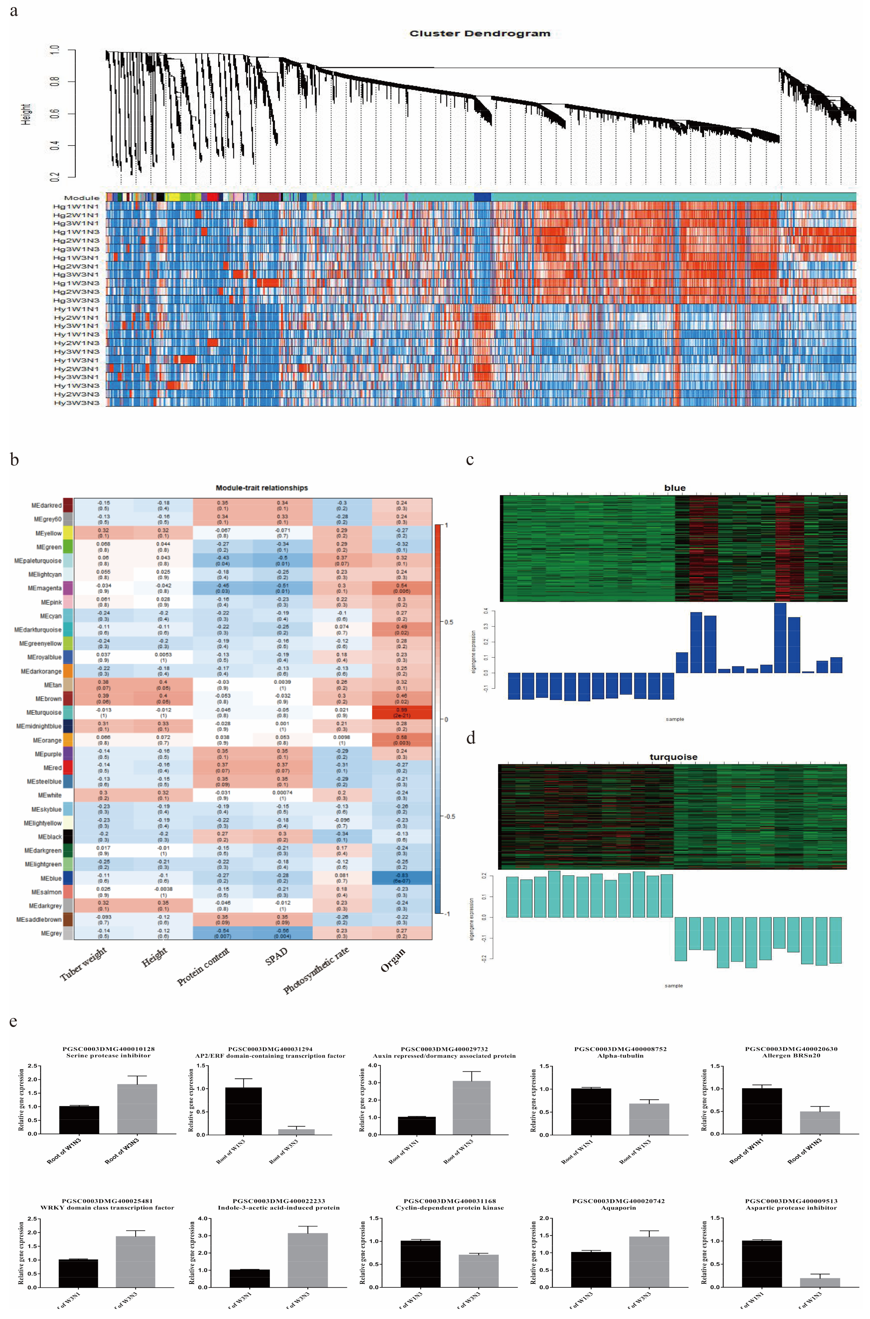 Plants 12 01671 g005 Plants 12 01671 g005