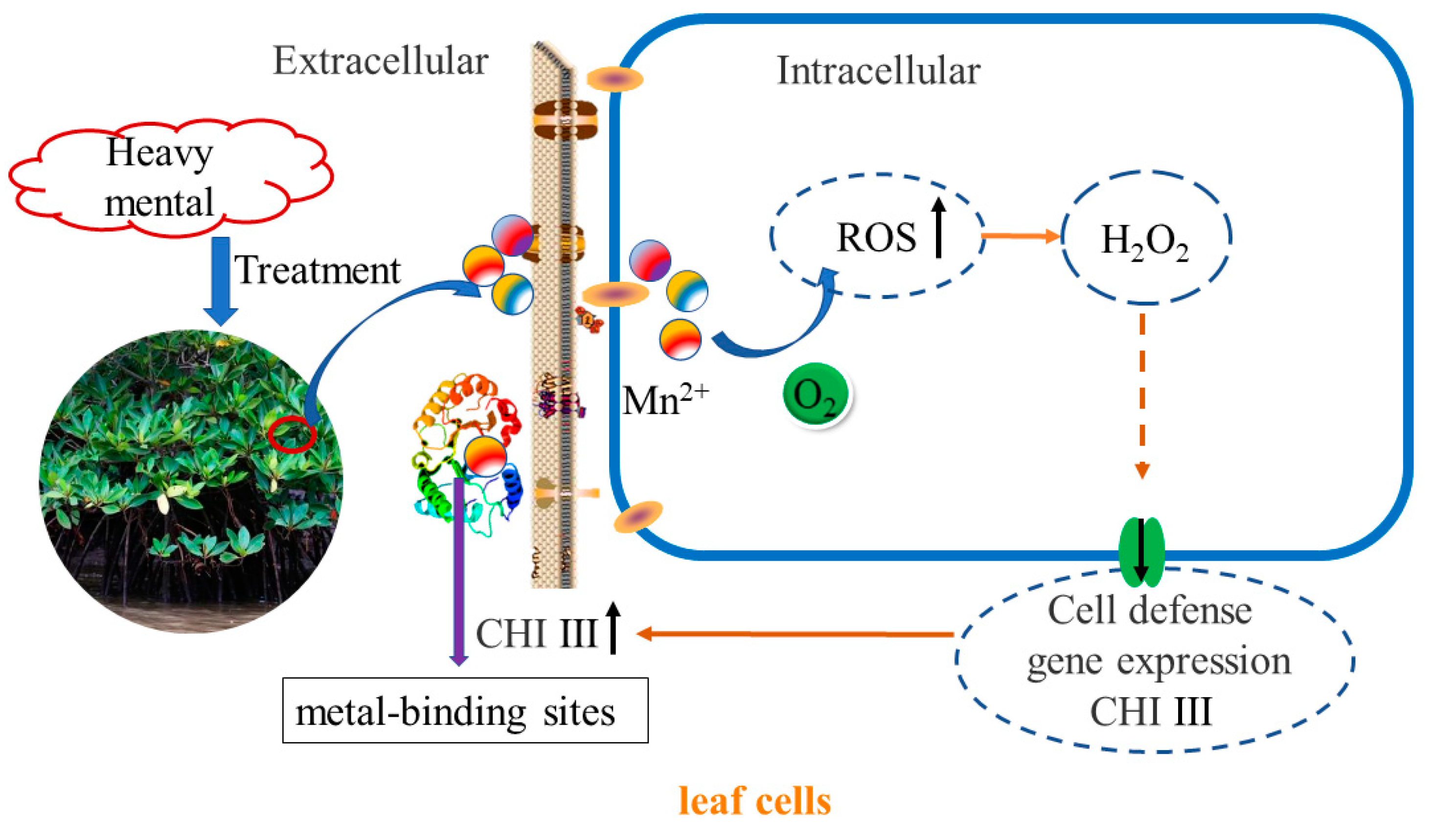 Plants 12 01681 g009 Plants 12 01681 g009
